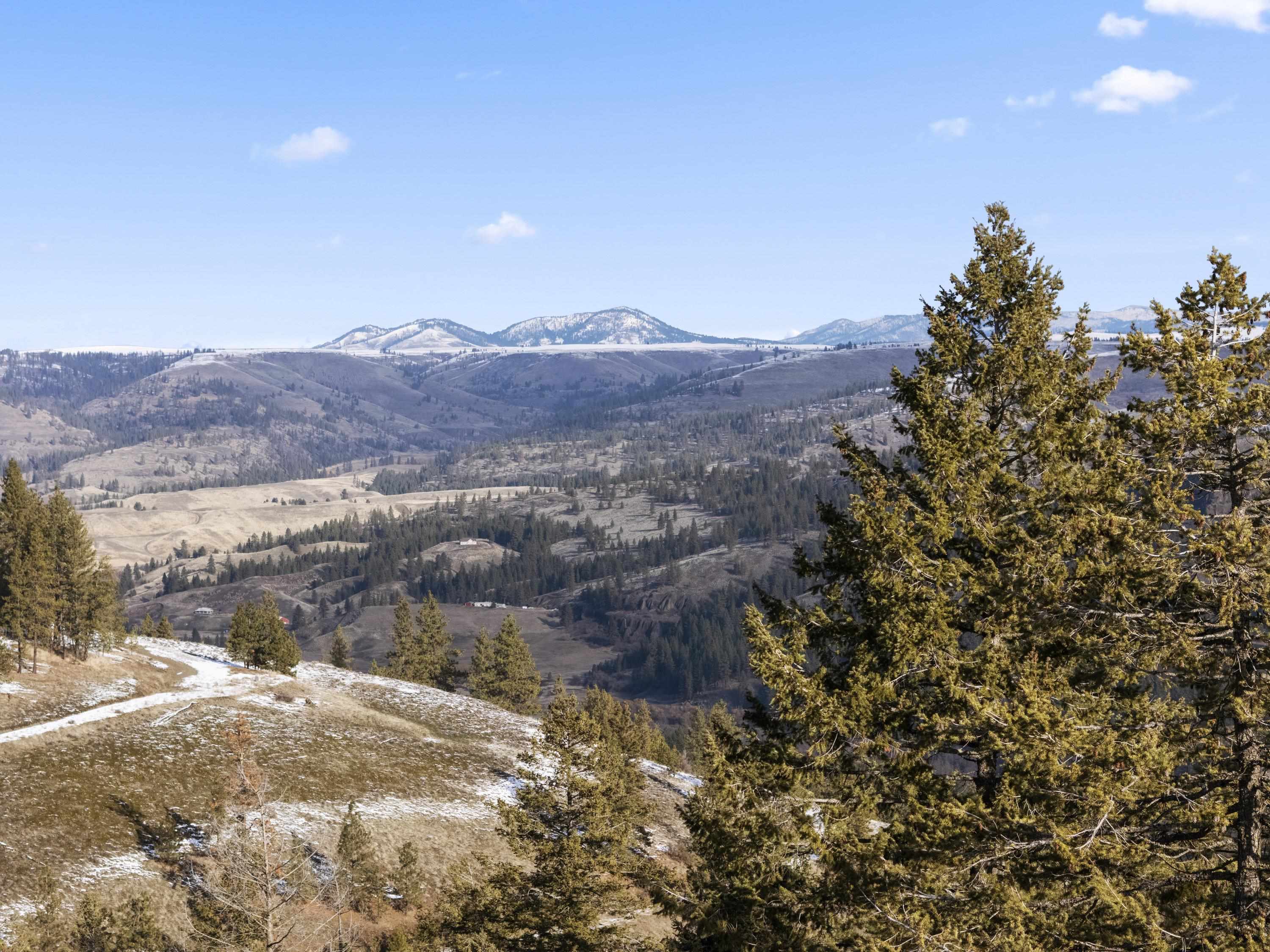 Homes for sale in Davenport, WA | 34820 Partridge Ln N Ln, Davenport, WA 99122 | MLS# 202524165