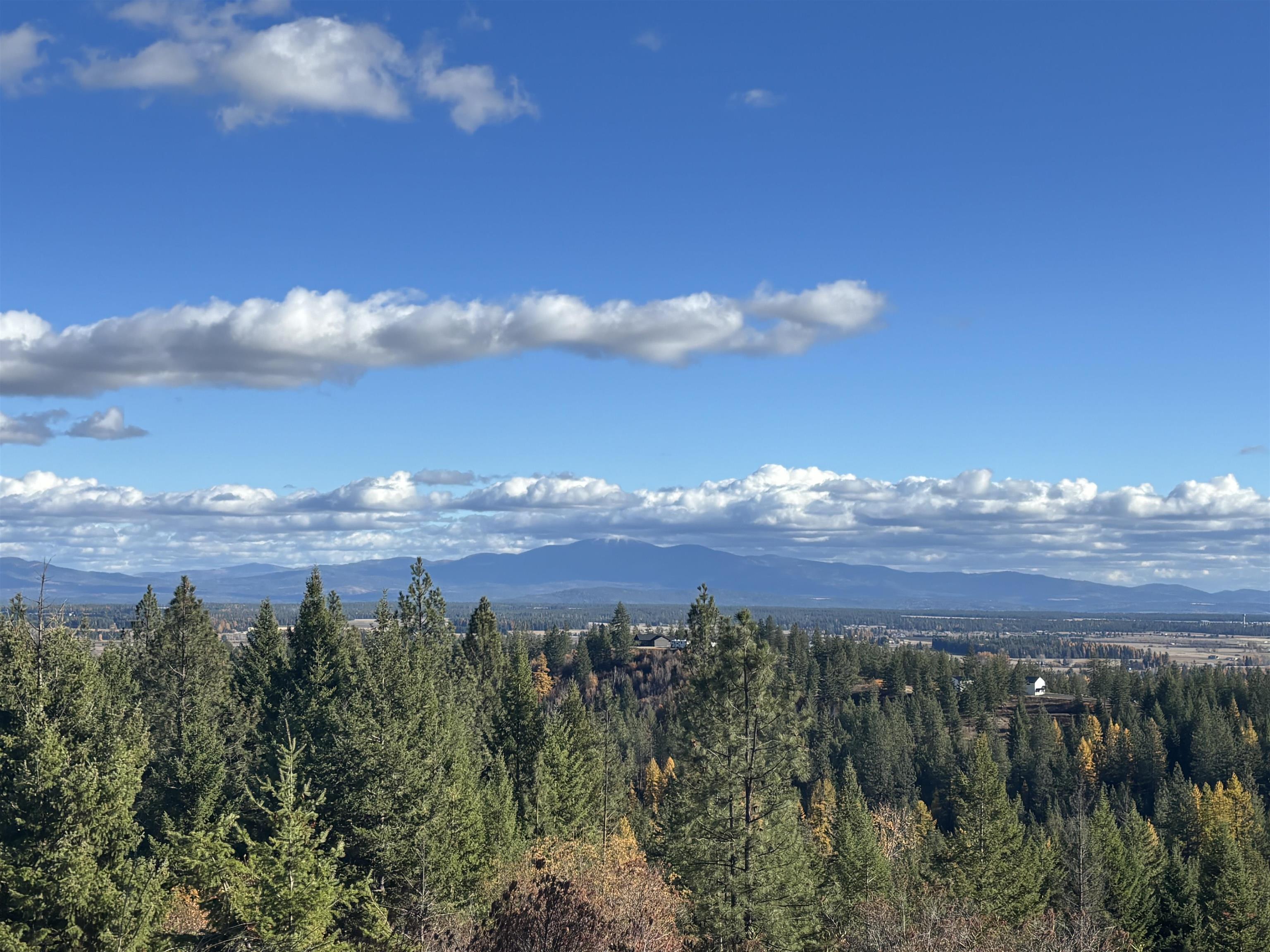 Homes for sale in Clayton, WA | 4746 Furze Rd, Clayton, WA 99110 | MLS# 202525455