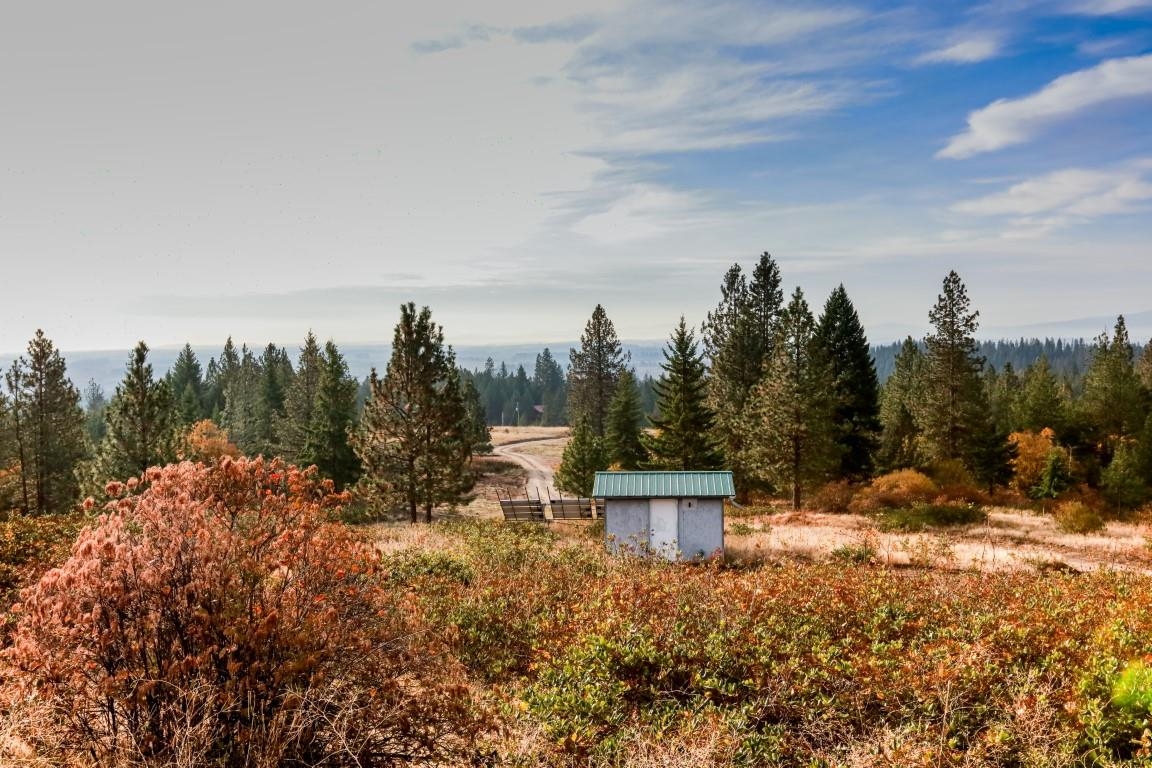 Homes for sale in Clayton, WA | 4746 Furze Rd, Clayton, WA 99110 | MLS# 202525455