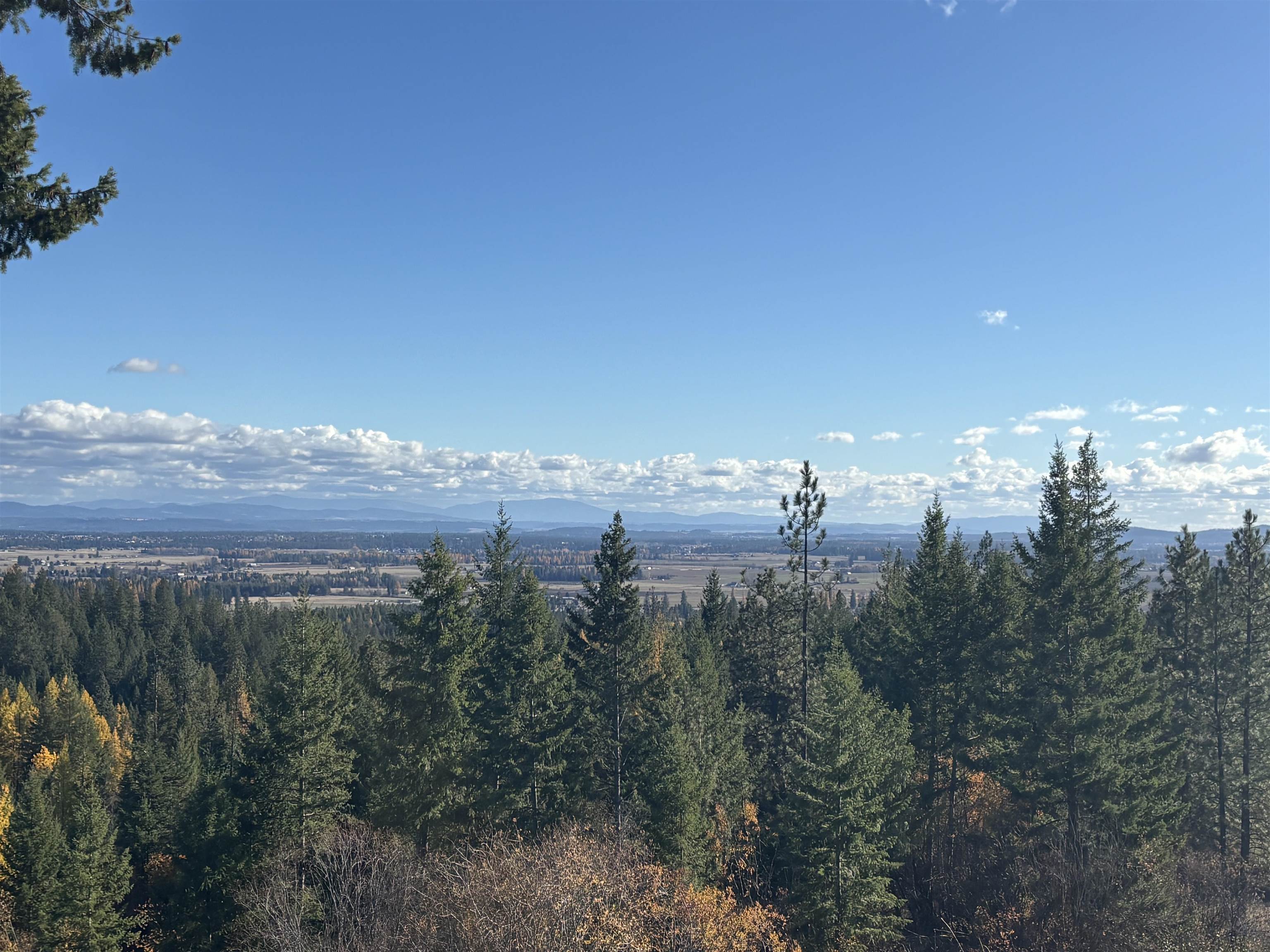 Homes for sale in Clayton, WA | 4746 Furze Rd, Clayton, WA 99110 | MLS# 202525455