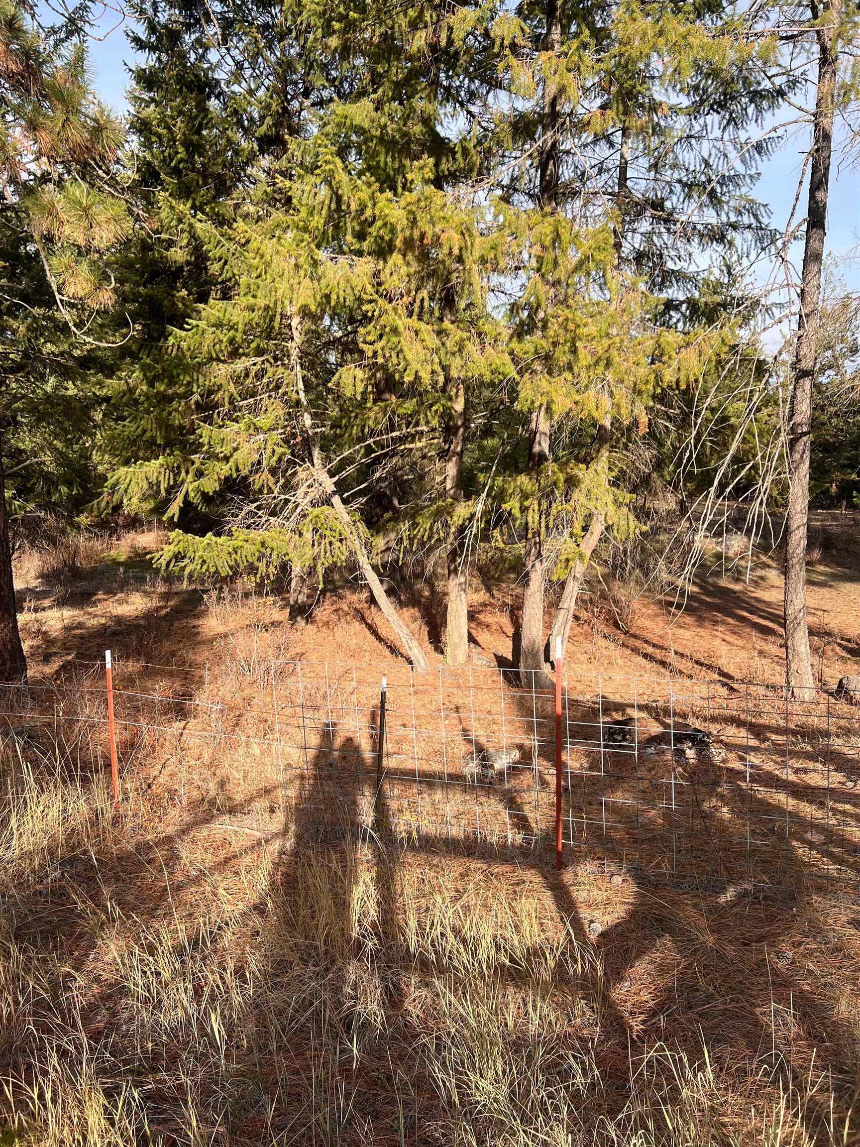 Homes for sale in Colbert, WA | Xxxx W Brant Rd, Colbert, WA 99005 | MLS# 202526019