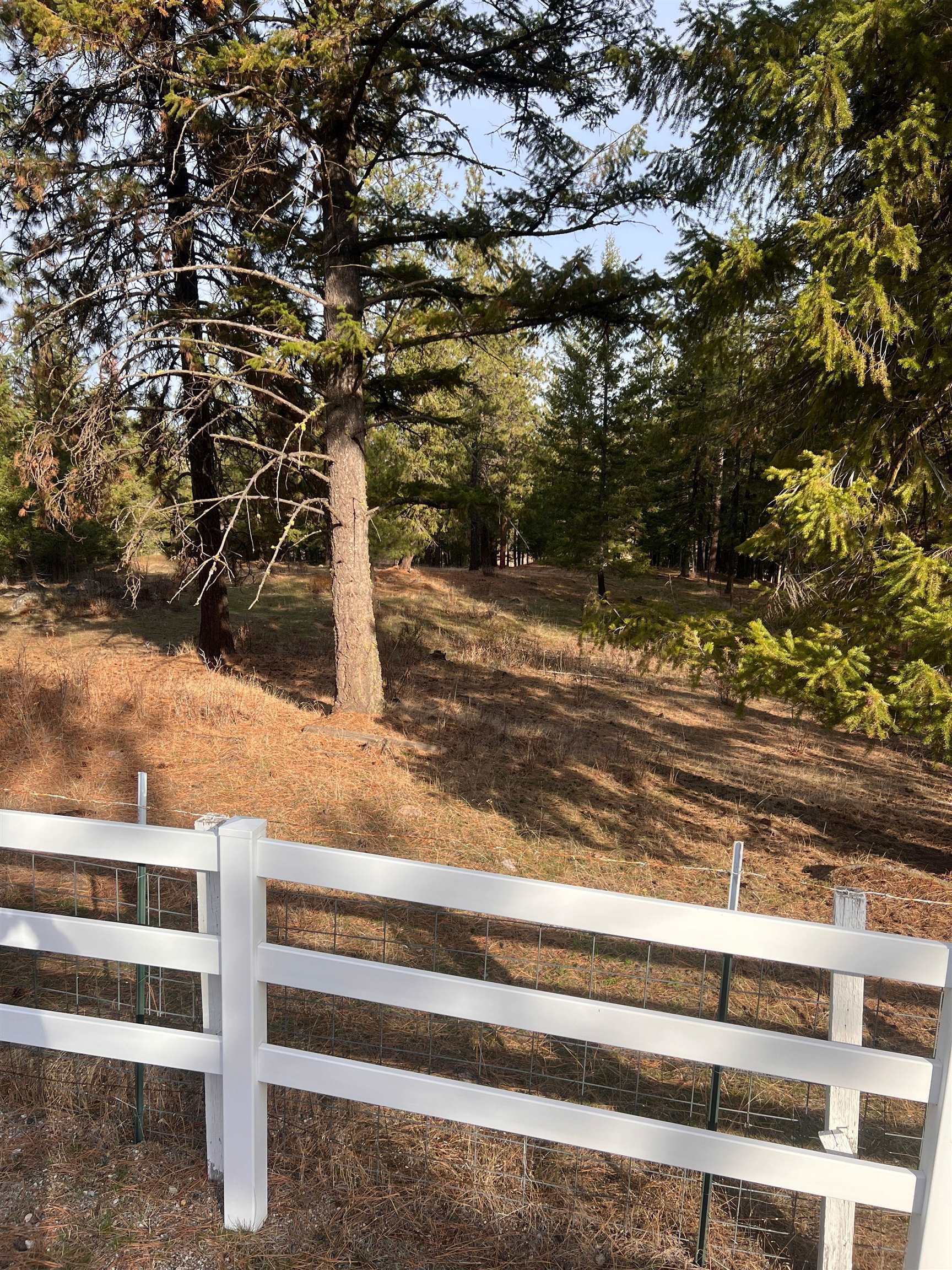 Homes for sale in Colbert, WA | Xxxx W Brant Rd, Colbert, WA 99005 | MLS# 202526019