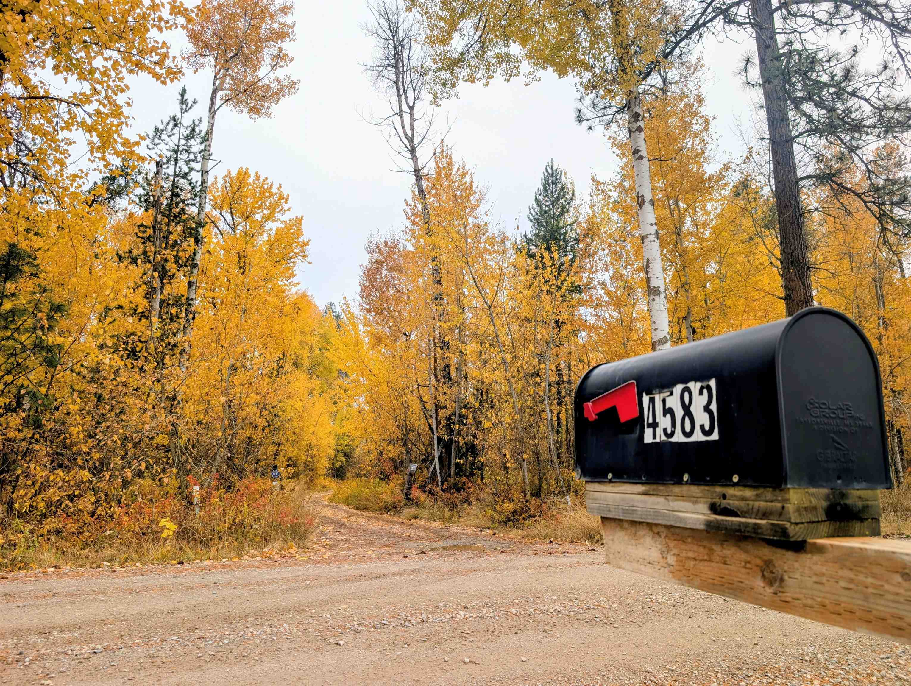 Homes for sale in Clayton, WA | 4583 Furzee Rd, Clayton, WA 99110 | MLS# 202526174