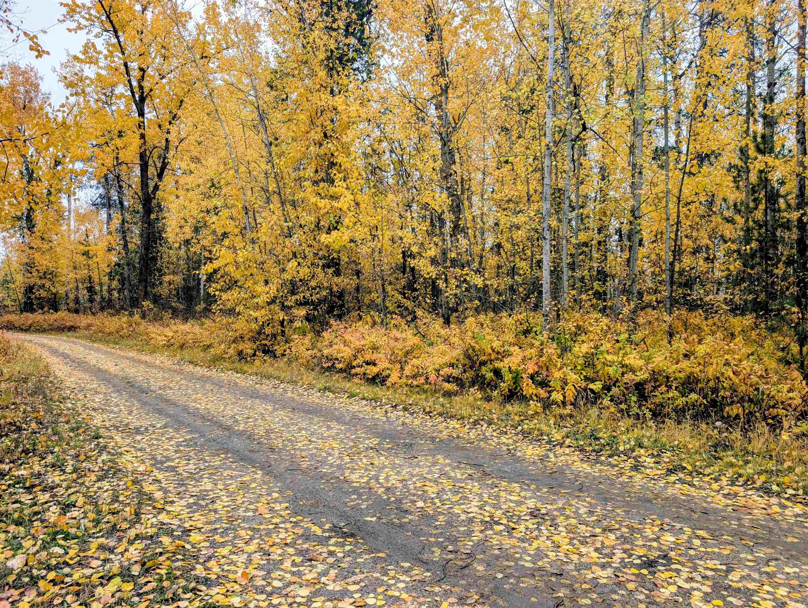 Homes for sale in Clayton, WA | 4583 Furzee Rd, Clayton, WA 99110 | MLS# 202526174