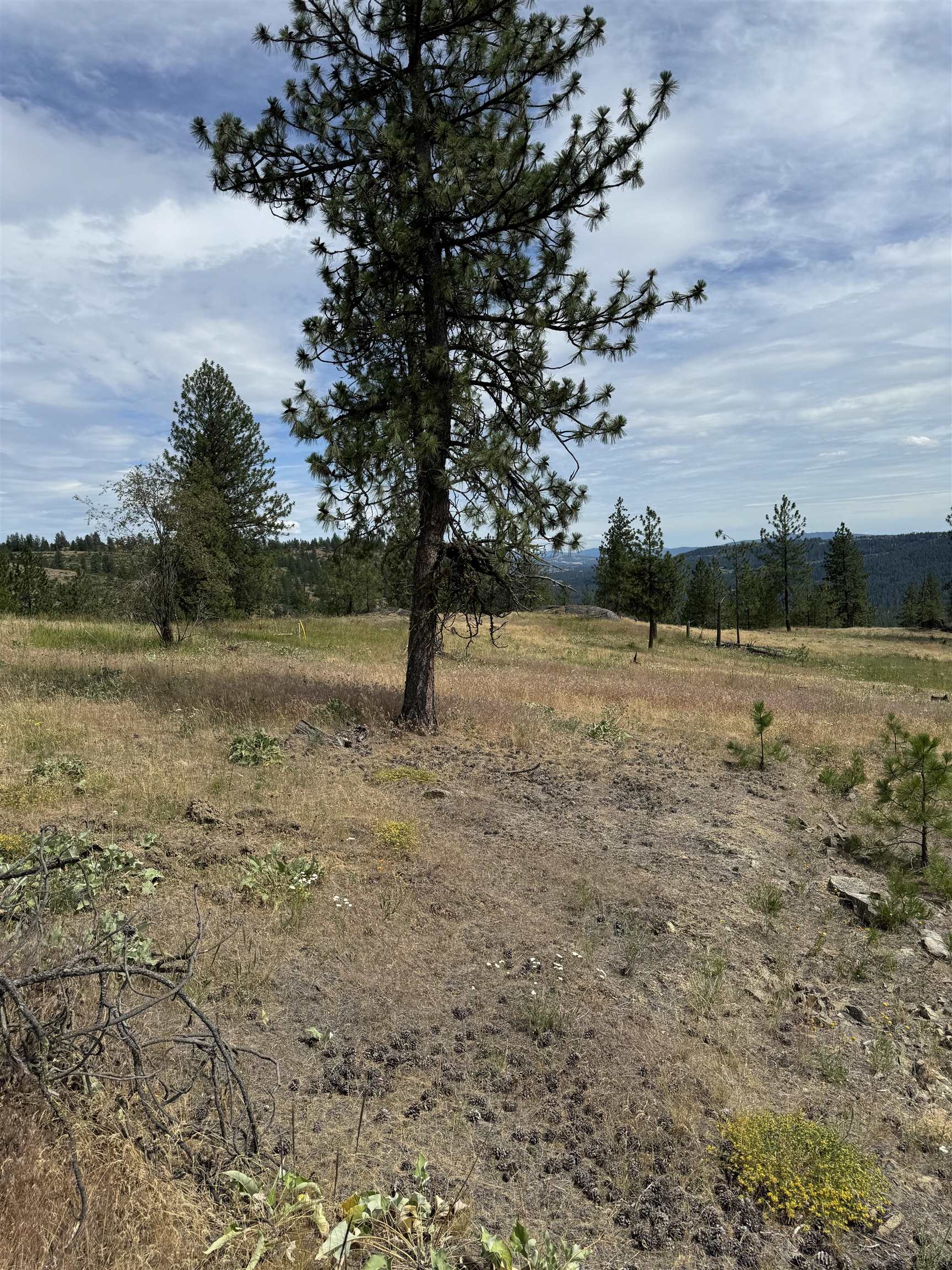 Homes for sale in Spokane, WA | 14924 N Cliff Ln, Spokane, WA 99208 | MLS# 202526613