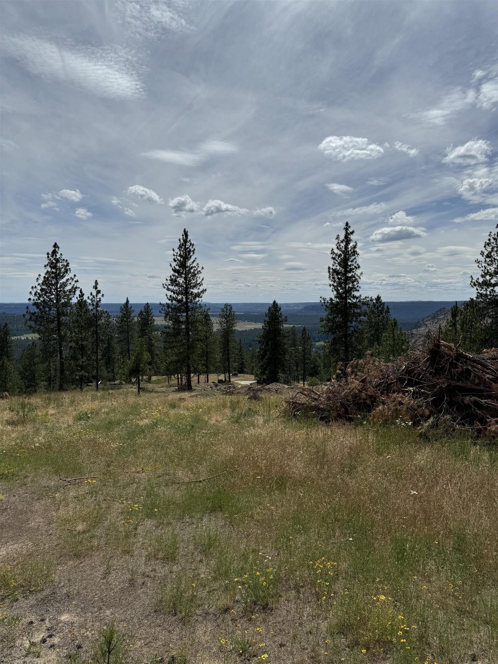 Homes for sale in Spokane, WA | 14924 N Cliff Ln, Spokane, WA 99208 | MLS# 202526613