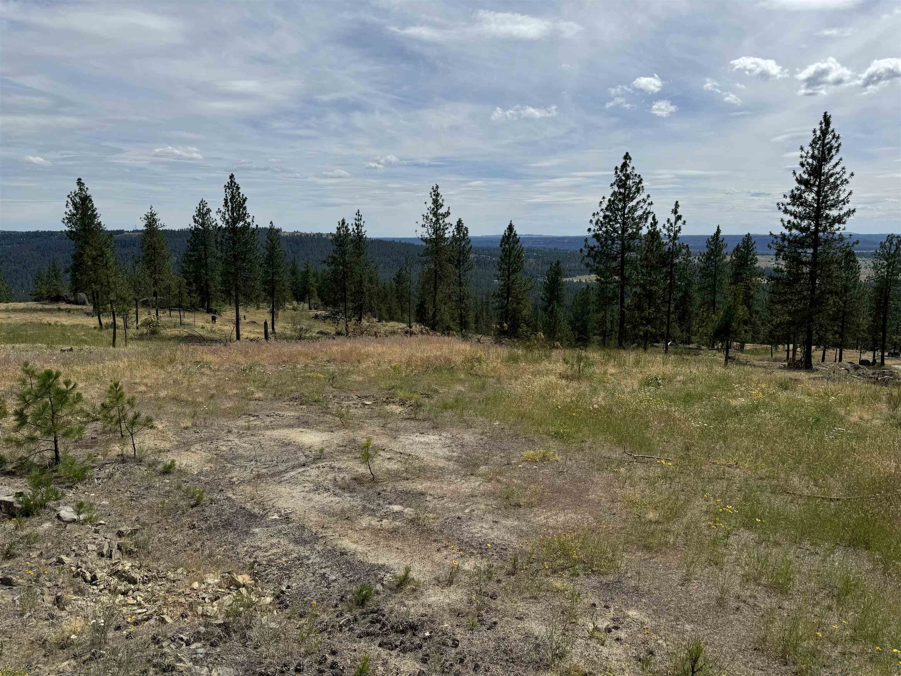 Homes for sale in Spokane, WA | 14924 N Cliff Ln, Spokane, WA 99208 | MLS# 202526613