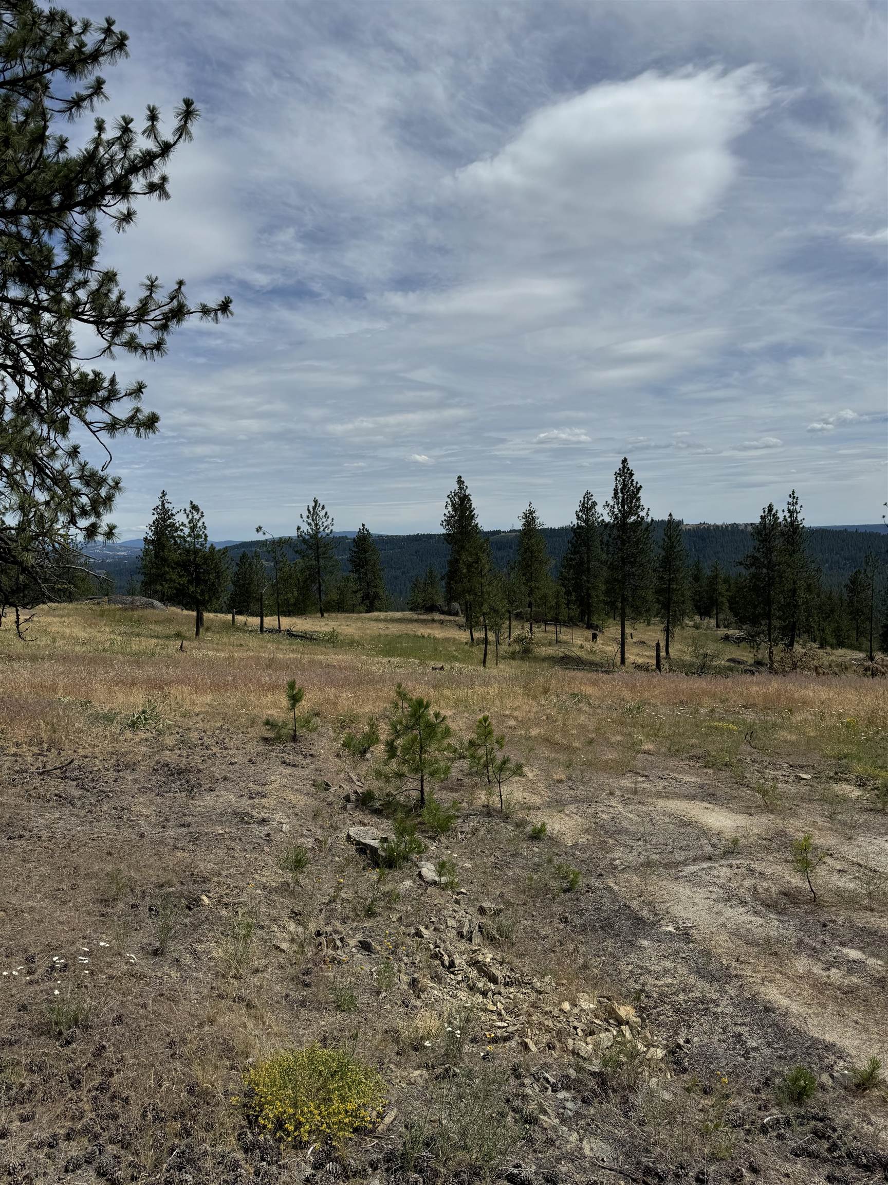 Homes for sale in Spokane, WA | 14924 N Cliff Ln, Spokane, WA 99208 | MLS# 202526613