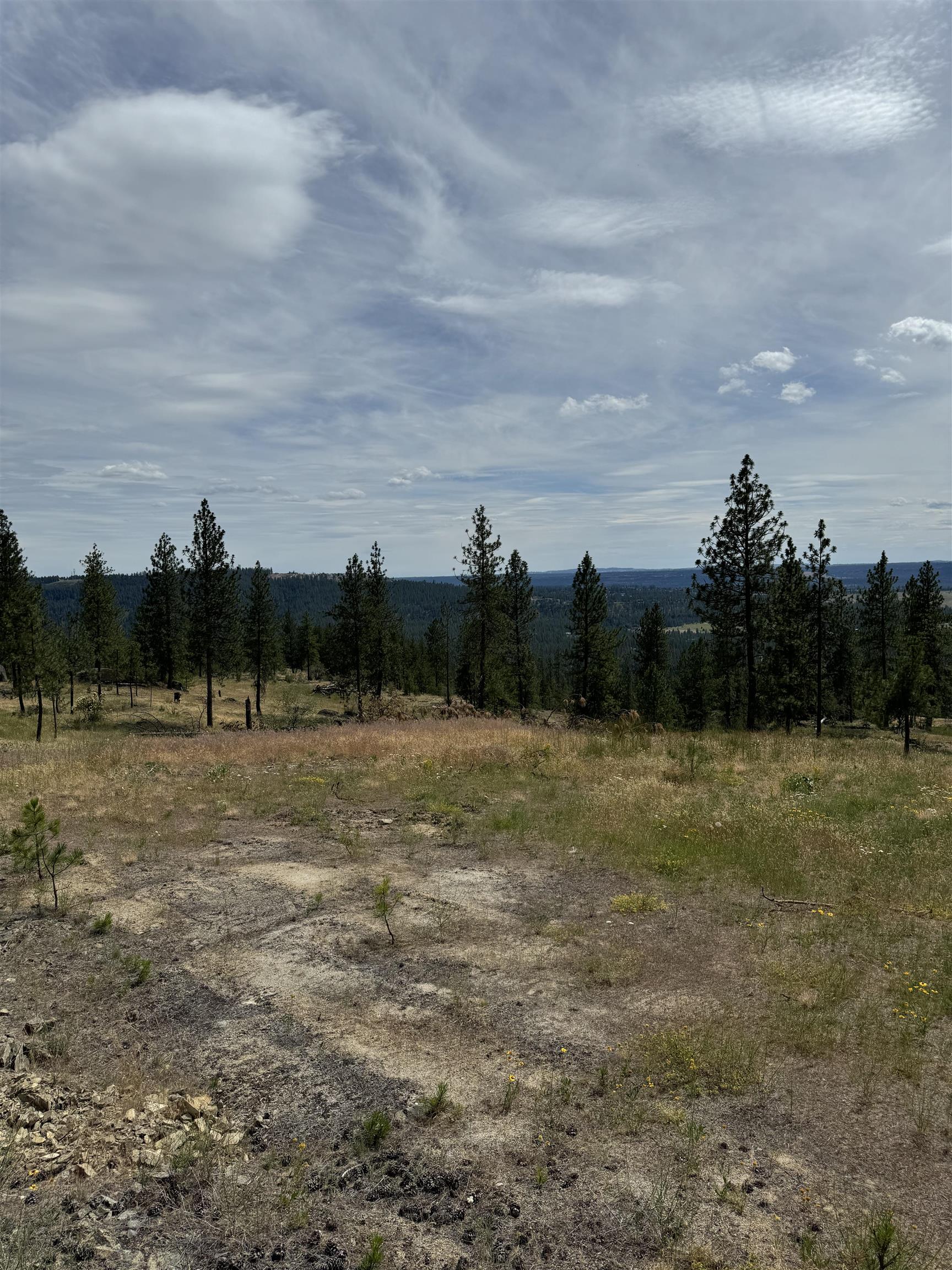 Homes for sale in Spokane, WA | 14924 N Cliff Ln, Spokane, WA 99208 | MLS# 202526613