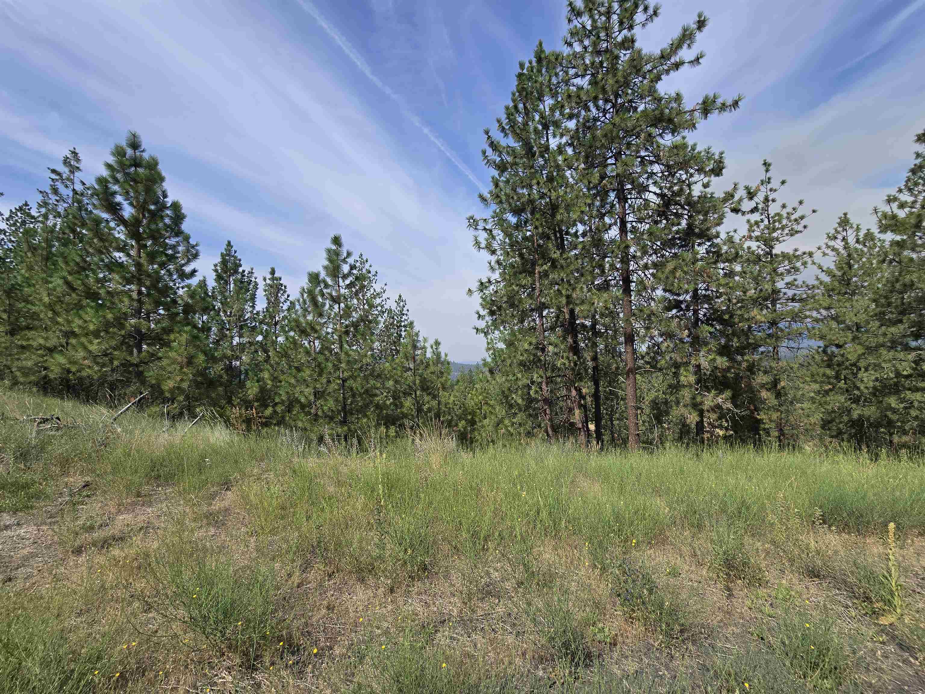 Homes for sale in Nine Mile Falls, WA | 6499 Syringa Wy, Nine Mile Falls, WA 99026 | MLS# 202610104