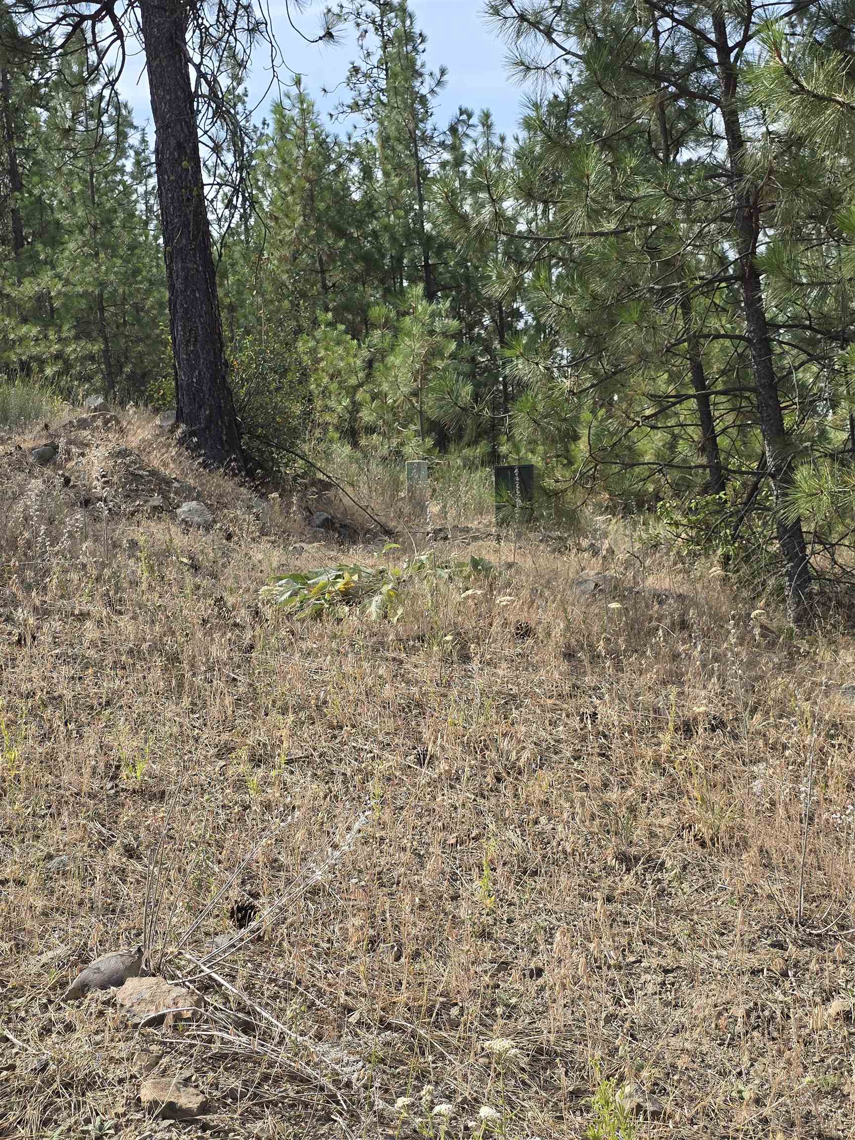 Homes for sale in Nine Mile Falls, WA | 6499 Syringa Wy, Nine Mile Falls, WA 99026 | MLS# 202610104