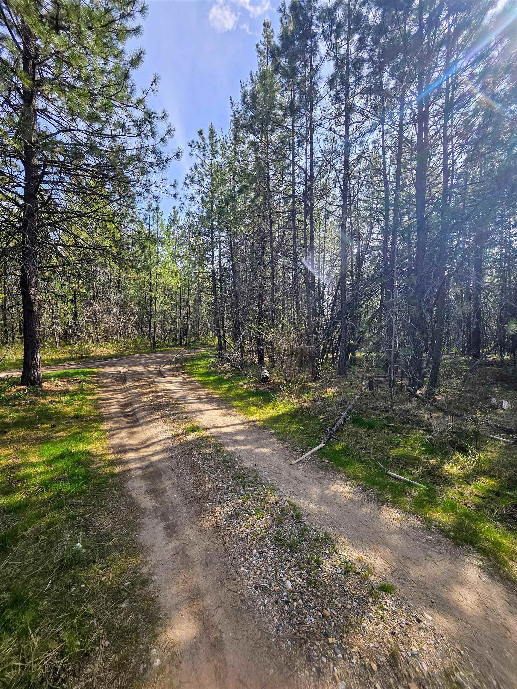 Homes for sale in Springdale, WA | 4464 Woods Way Rd, Springdale, WA 99173 | MLS# 202610481