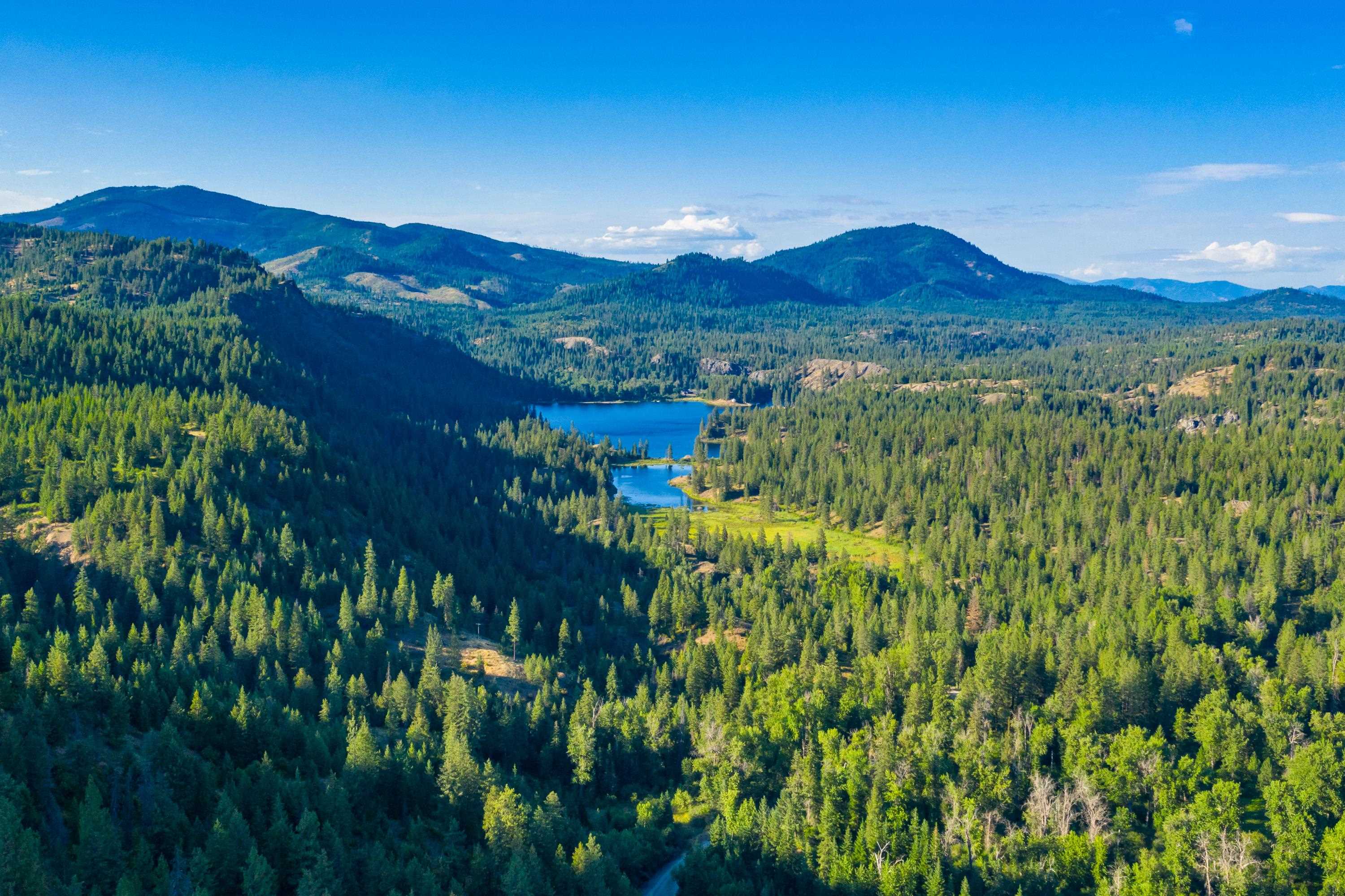 4th image of 4330192100 Horseshoe Lake Rd, Deer Park, WA 99006 | MLS# 202610758
