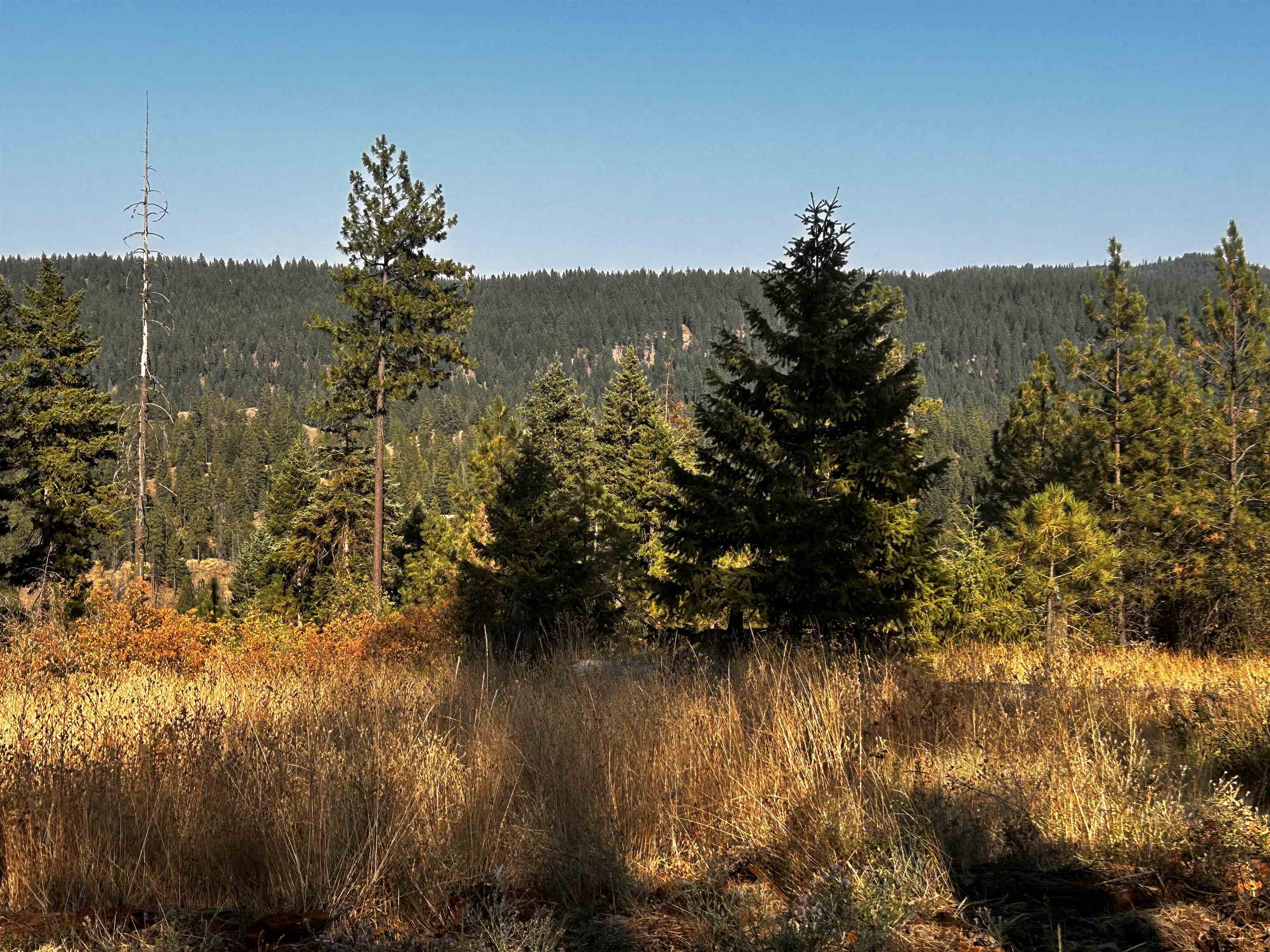 20th image of 4330192100 Horseshoe Lake Rd, Deer Park, WA 99006 | MLS# 202610758