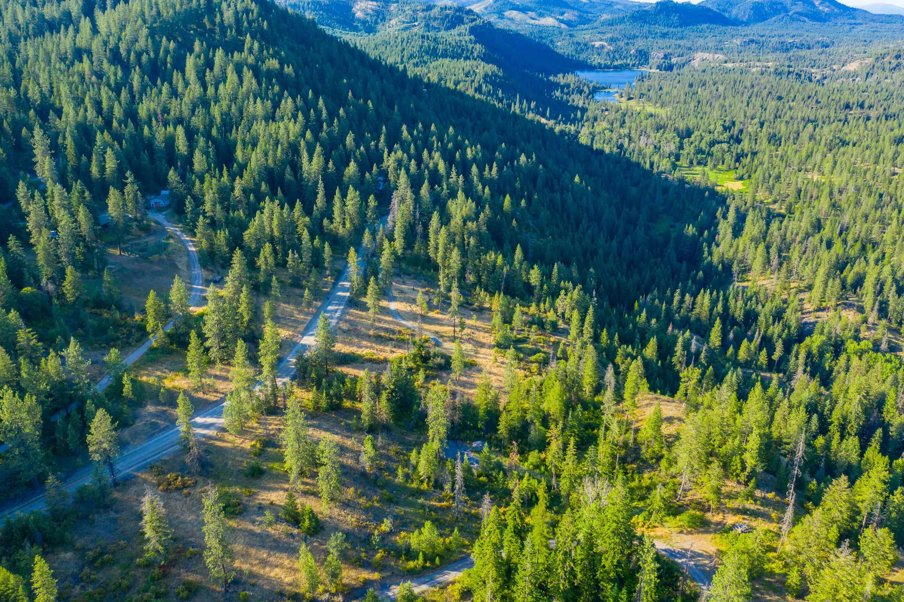 5th image of 4330192100 Horseshoe Lake Rd, Deer Park, WA 99006 | MLS# 202610758