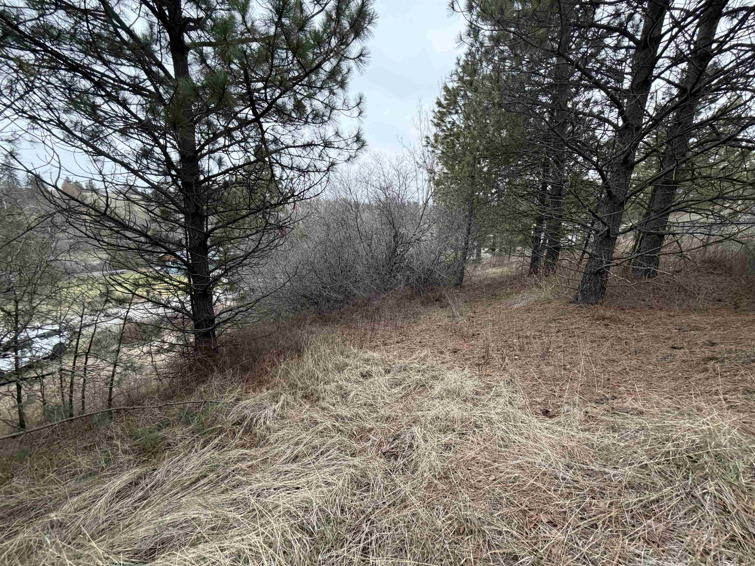 Homes for sale in Rockford, WA | Nka E Stringham Rd, Rockford, WA 99030 | MLS# 202611195