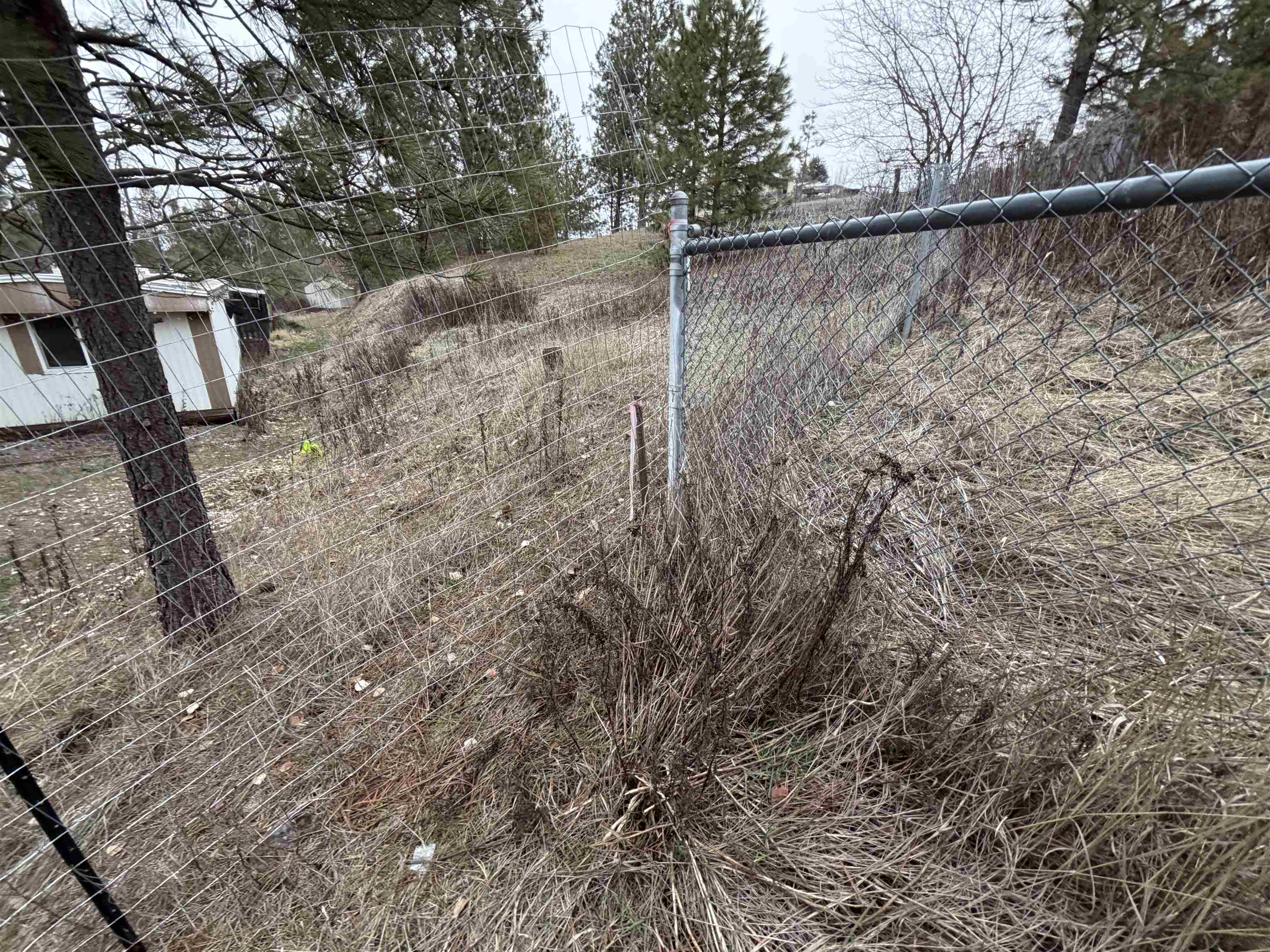 Homes for sale in Rockford, WA | Nka E Stringham Rd, Rockford, WA 99030 | MLS# 202611195