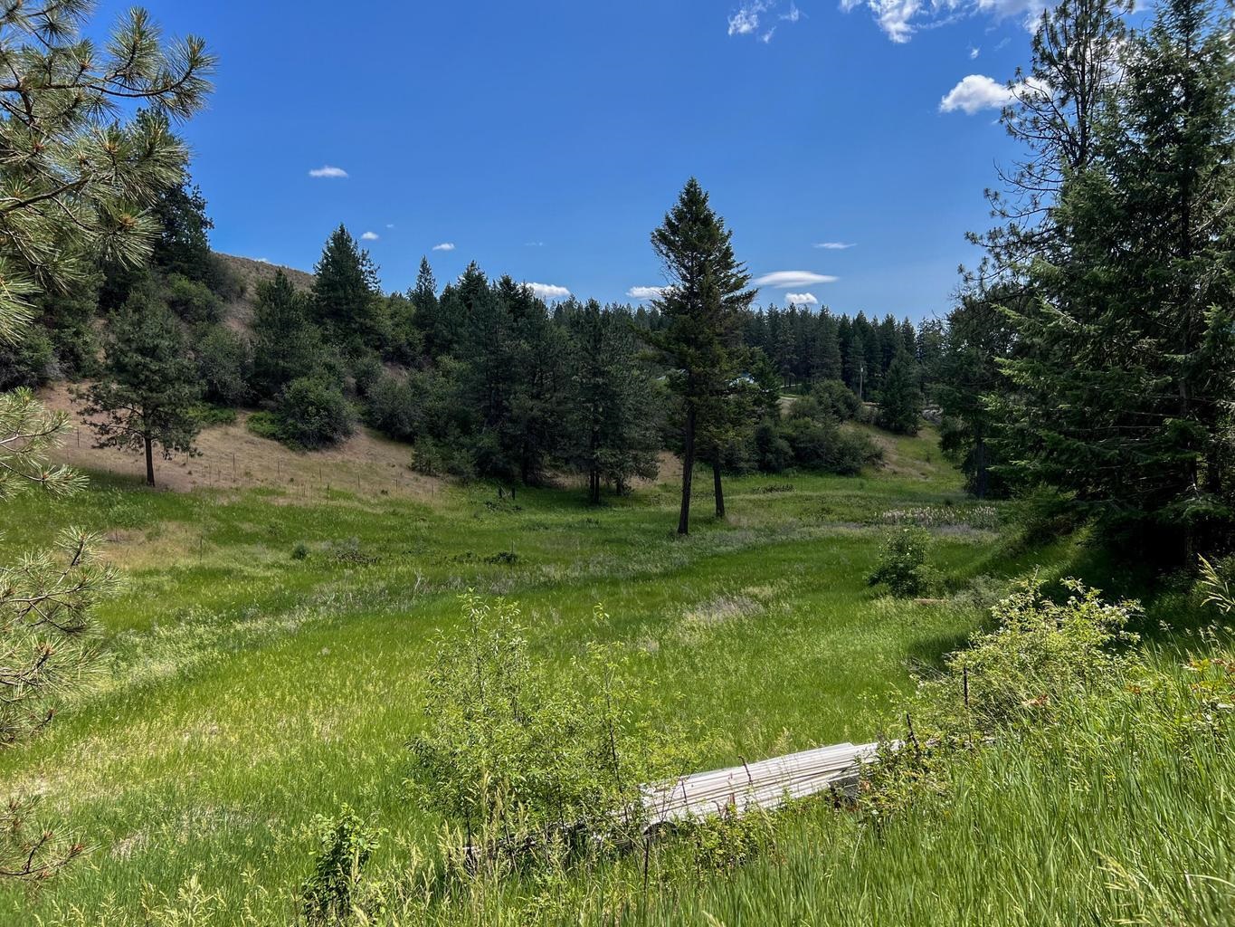 Homes for sale in Kettle Falls, WA | 598 N 395 Hwy, Kettle Falls, WA 99141 | MLS# 202612309