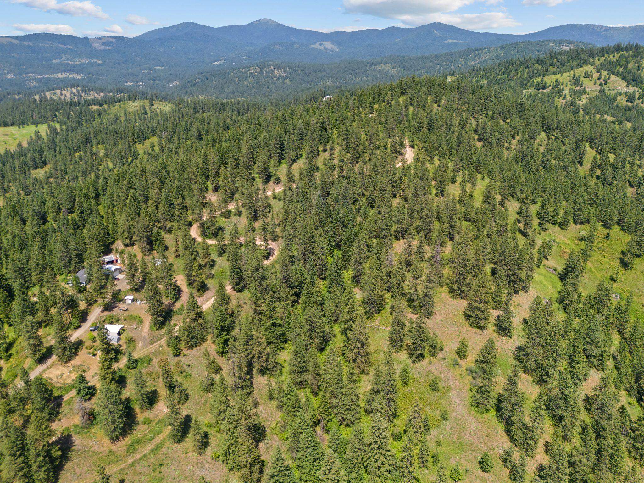 Homes for sale in Mead, WA | Nna Scribner Branch Rd, Mead, WA 99217 | MLS# 202612776