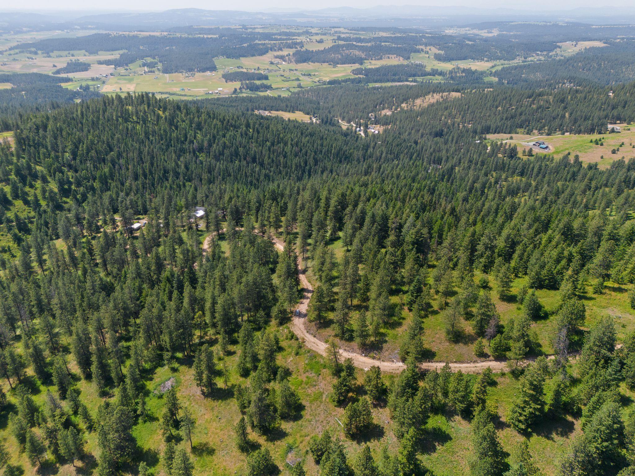 Homes for sale in Mead, WA | Nna Scribner Branch Rd, Mead, WA 99217 | MLS# 202612776