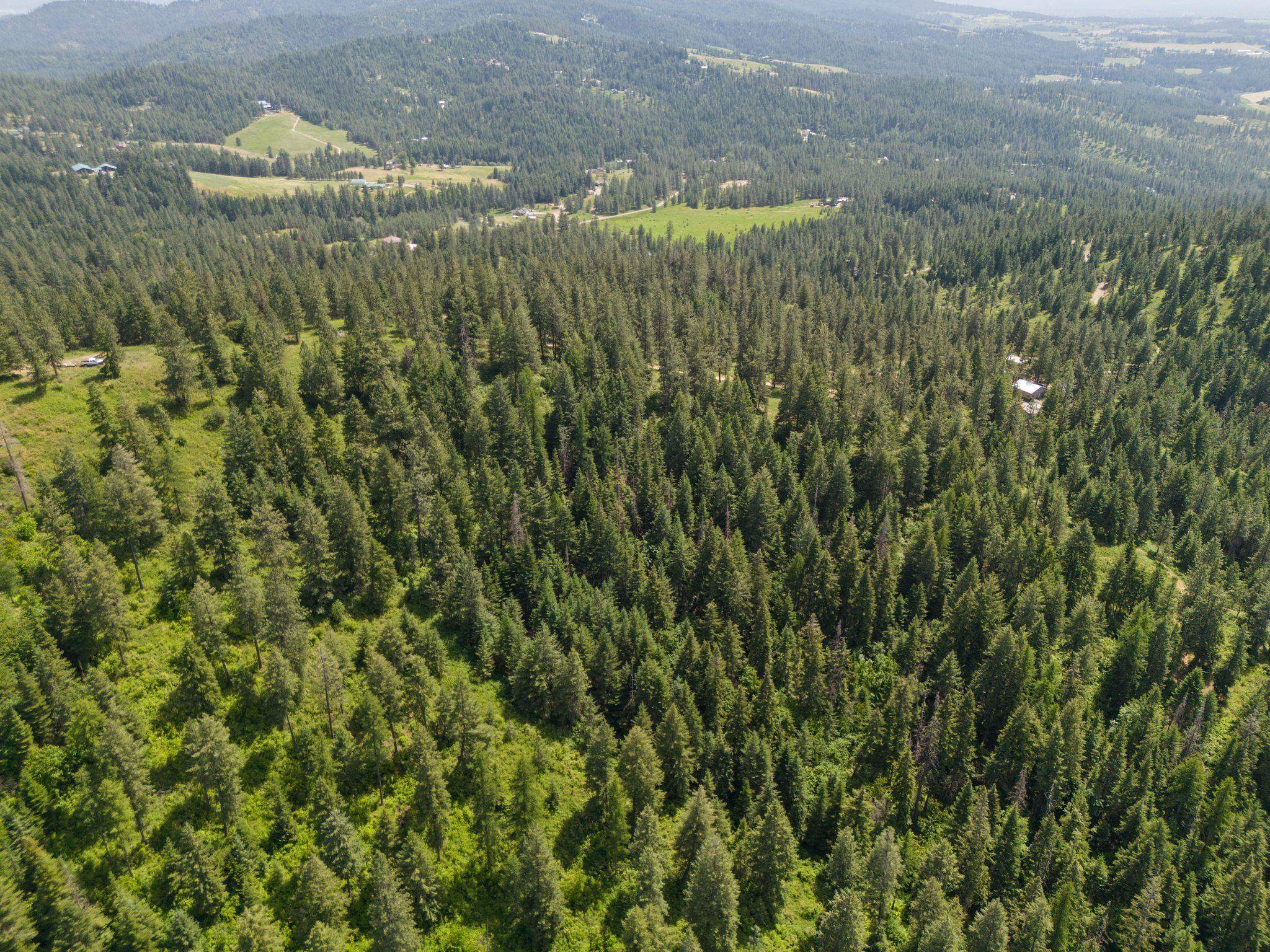 Homes for sale in Mead, WA | Nna Scribner Branch Rd, Mead, WA 99217 | MLS# 202612776