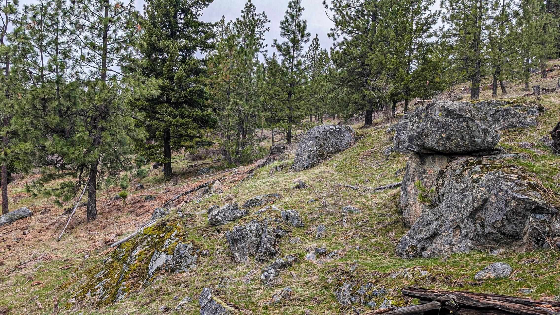 Homes for sale in Chattaroy, WA | Lot 29 Barbi Ct, Chattaroy, WA 99003 | MLS# 202613929