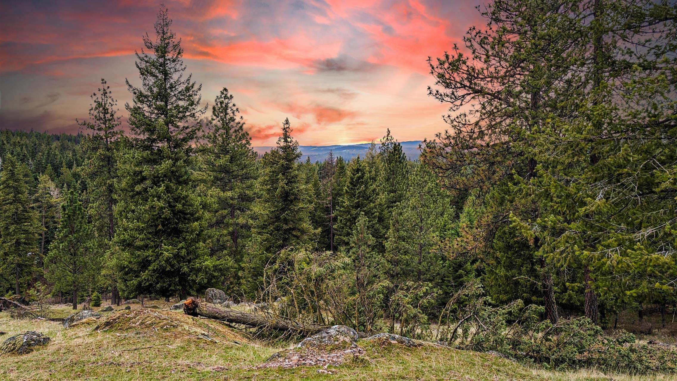 Homes for sale in Chattaroy, WA | Lot 29 Barbi Ct, Chattaroy, WA 99003 | MLS# 202613929