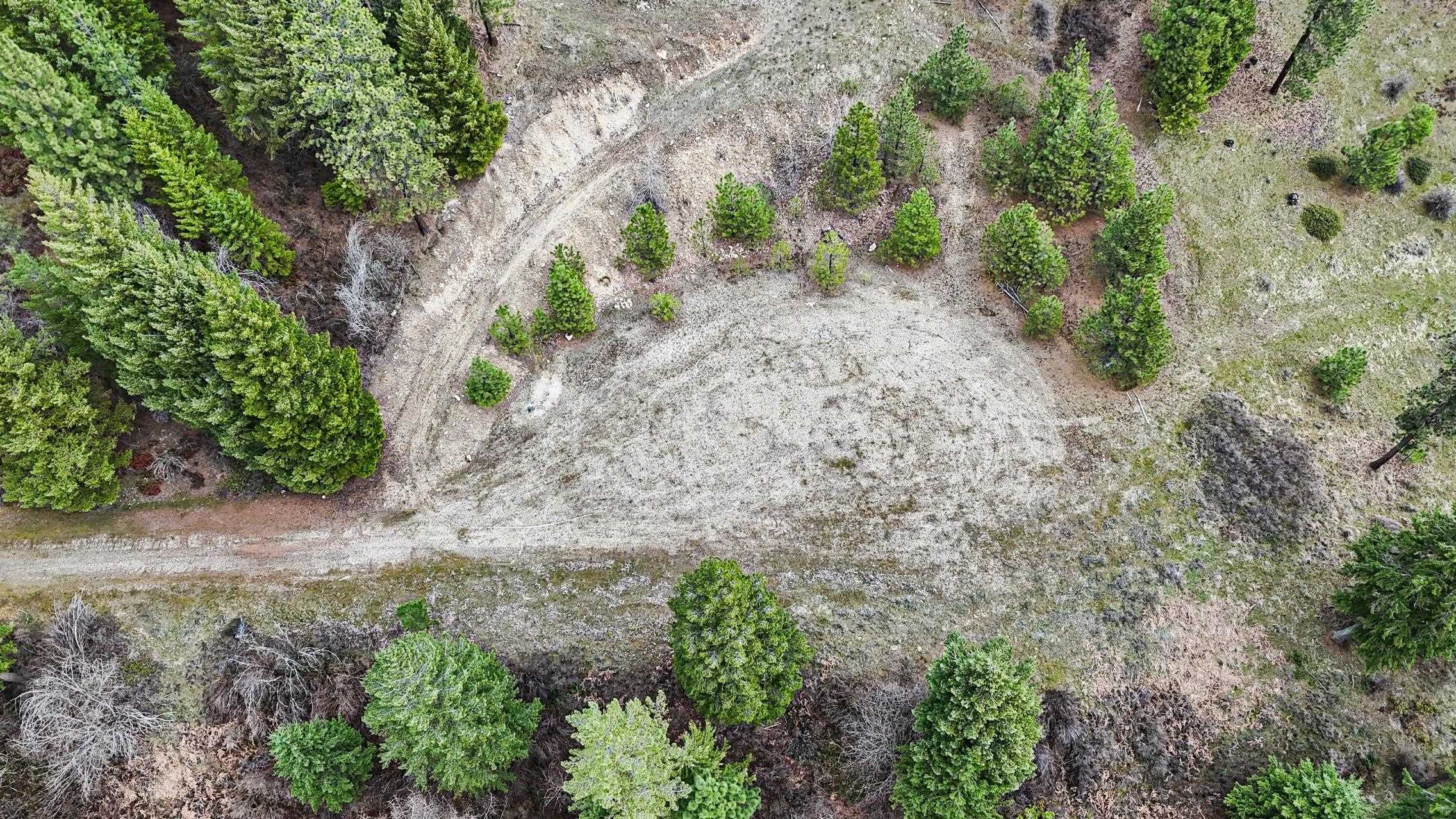 Homes for sale in Chattaroy, WA | Lot 29 Barbi Ct, Chattaroy, WA 99003 | MLS# 202613929