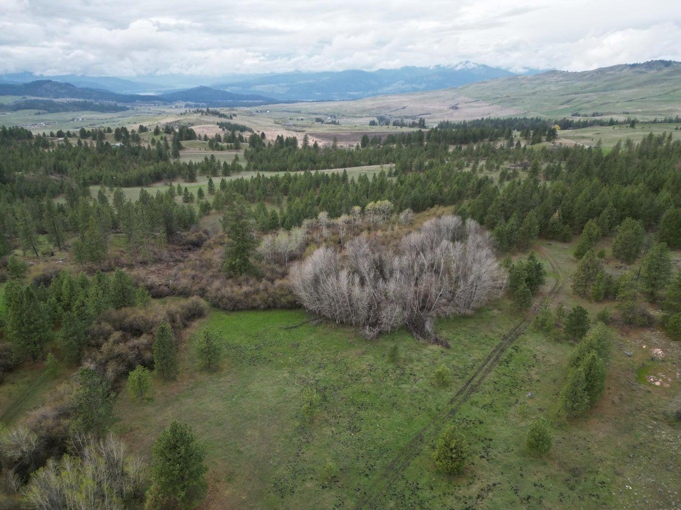 Homes for sale in Fruitland, WA | 5xxx Newbill Rd, Fruitland, WA 99129 | MLS# 202613978