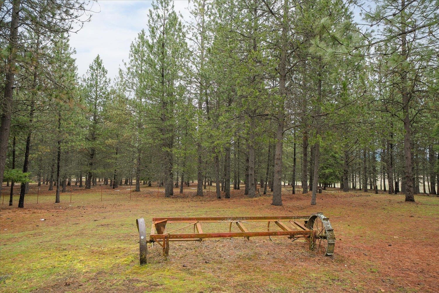 Homes for sale in Newman Lake, WA | 23216 E Morris Rd, Newman Lake, WA 99025 | MLS# 202614053