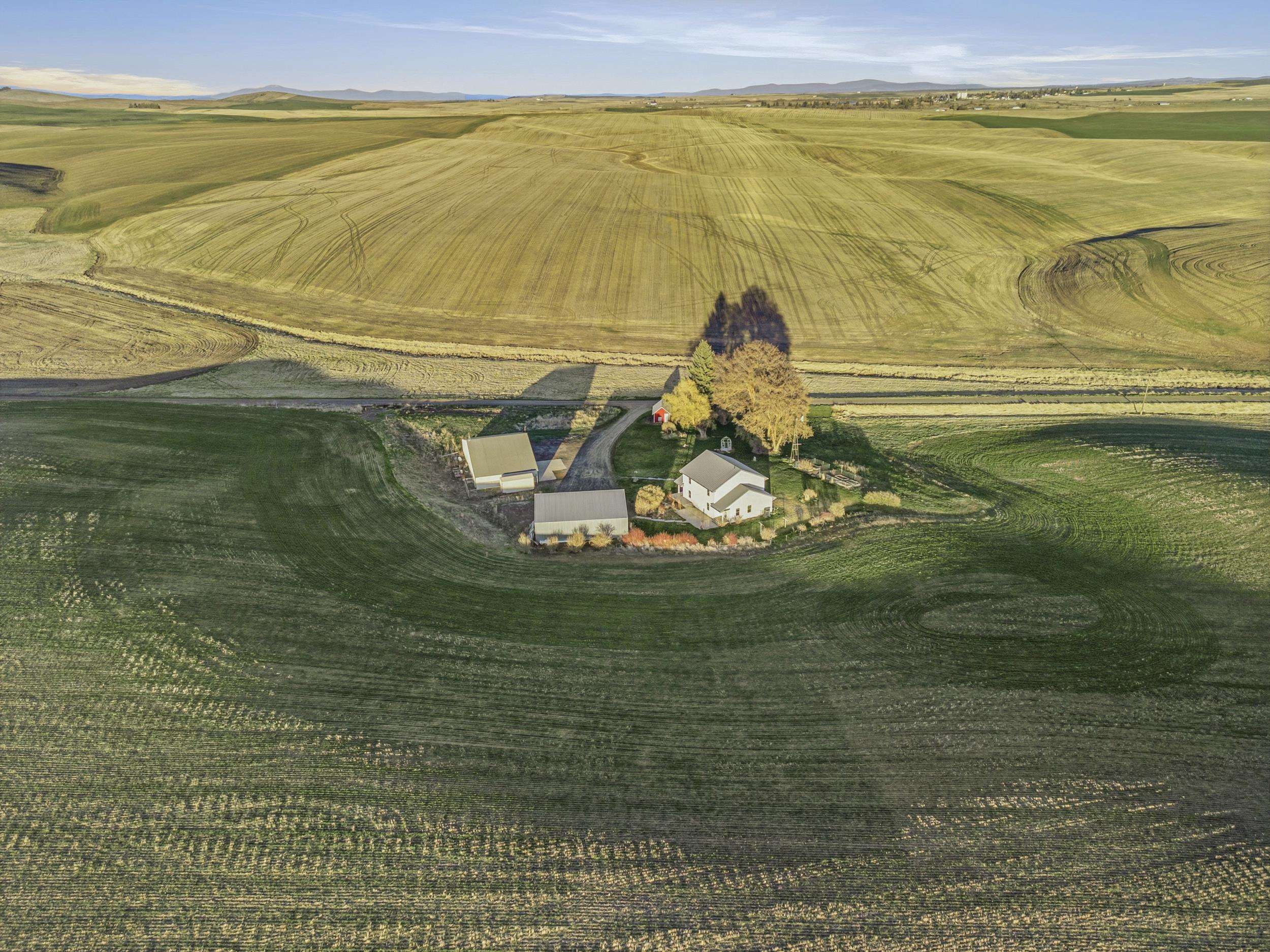 Homes for sale in Reardan, WA | 28805 Schumer Road North Rd, Reardan, WA 99029 | MLS# 202615242