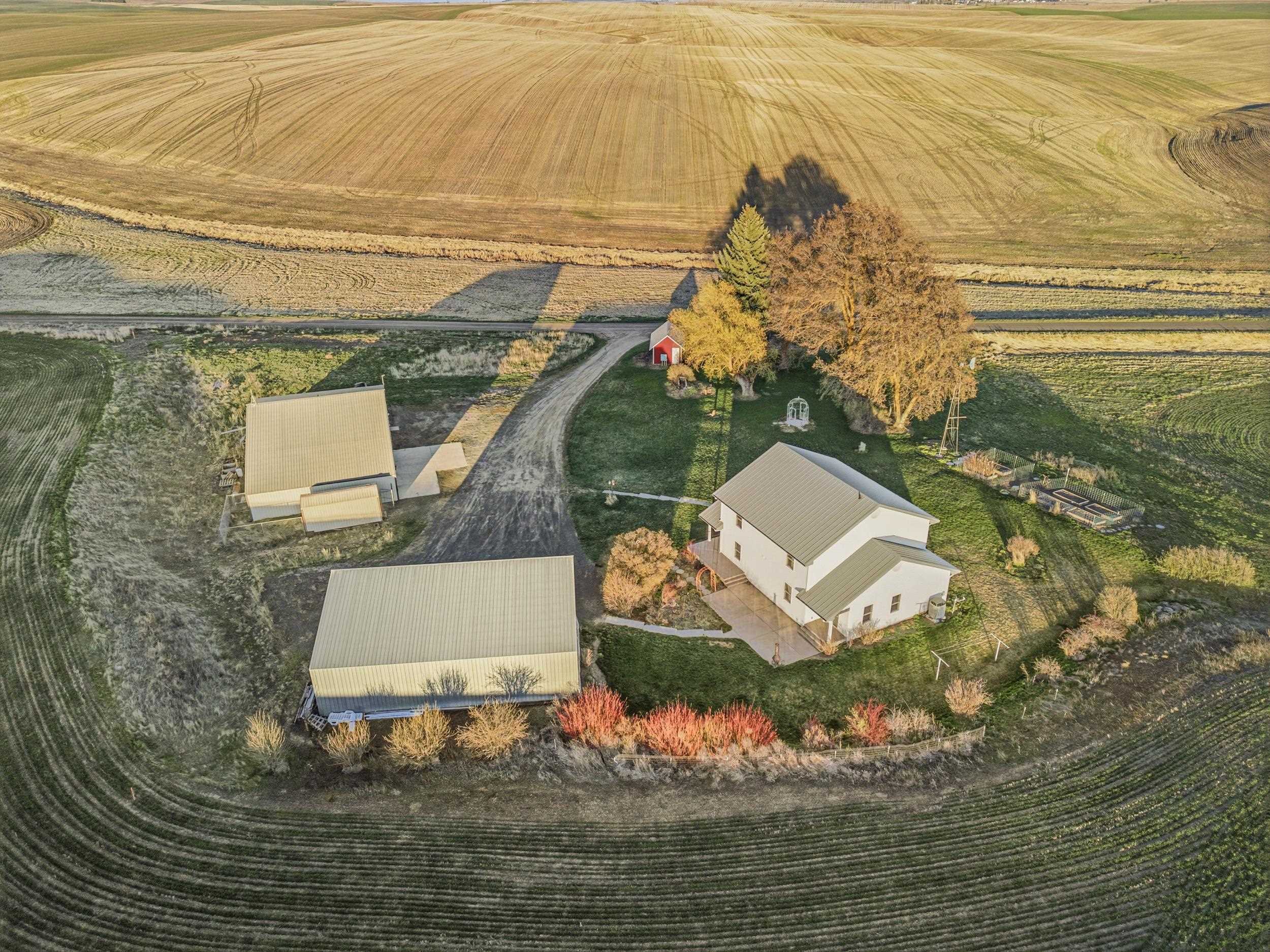 Homes for sale in Reardan, WA | 28805 Schumer Road North Rd, Reardan, WA 99029 | MLS# 202615242