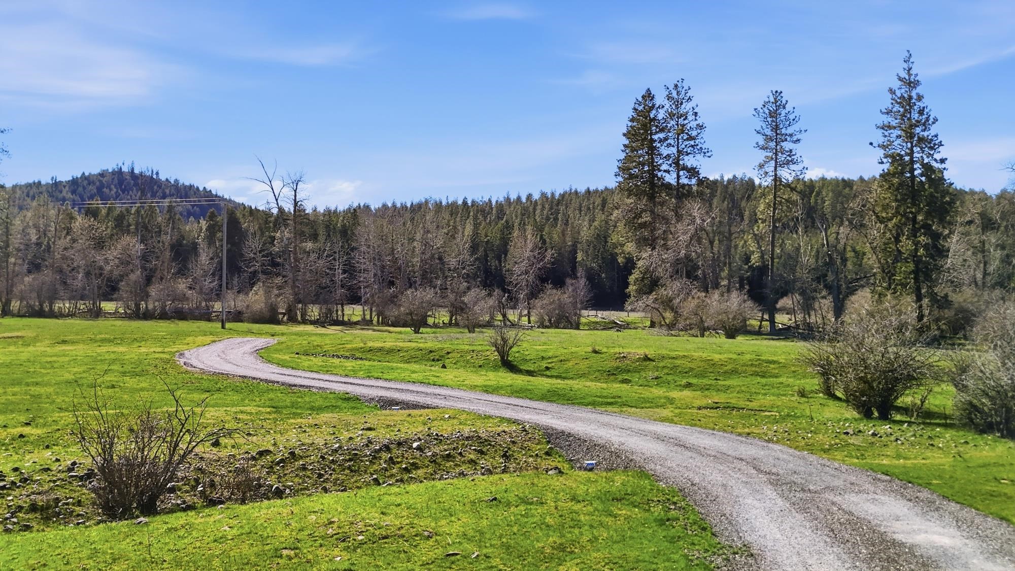 Homes for sale in Valley, WA | 3564 Long Prairie Rd, Valley, WA 99181 | MLS# 202615325