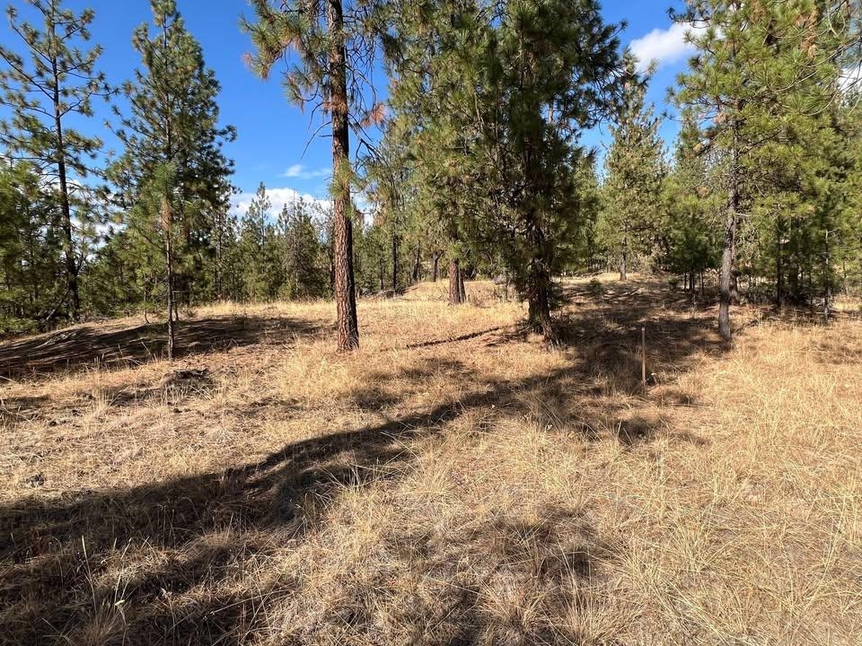 Homes for sale in Tumtum, WA | Tbd N Corkscrew Canyon Rd, Tumtum, WA 99013 | MLS# 202615752