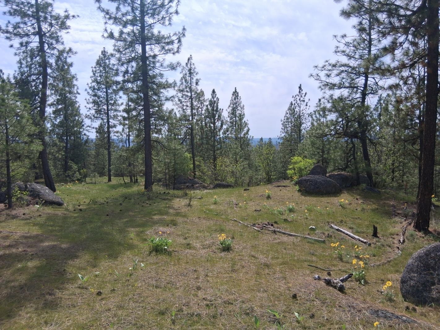 Homes for sale in Tumtum, WA | Tbd N Corkscrew Canyon Rd, Tumtum, WA 99013 | MLS# 202615752
