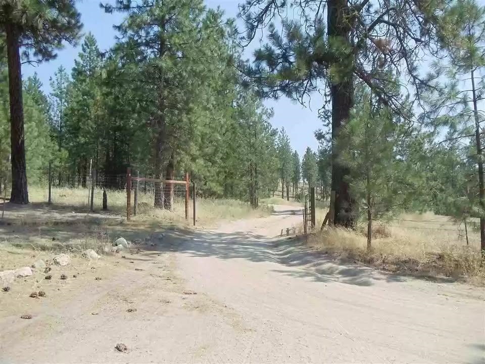 Homes for sale in Tumtum, WA | Tbd N Corkscrew Canyon Rd, Tumtum, WA 99013 | MLS# 202615752