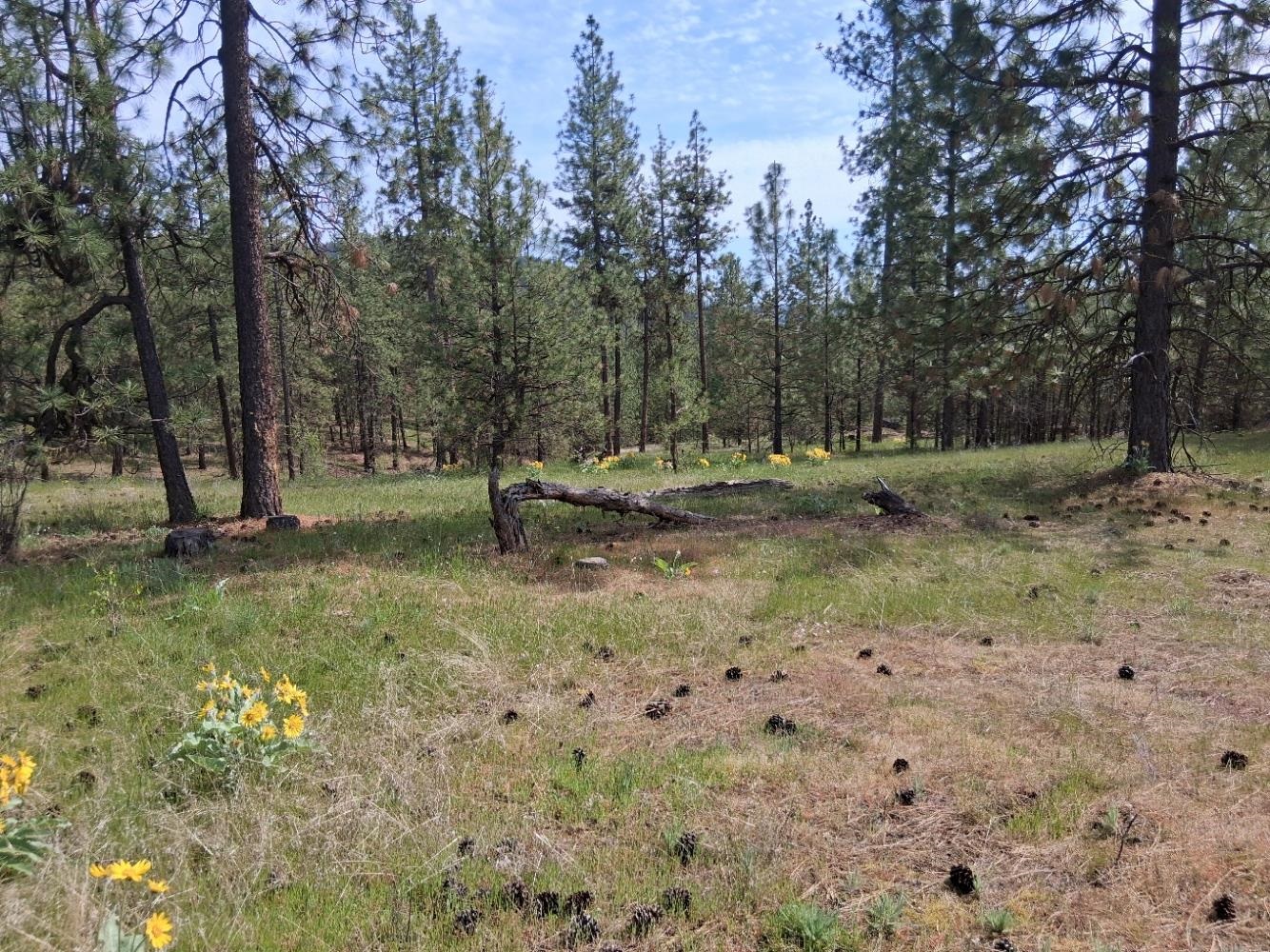 Homes for sale in Tumtum, WA | Tbd N Corkscrew Canyon Rd, Tumtum, WA 99013 | MLS# 202615752