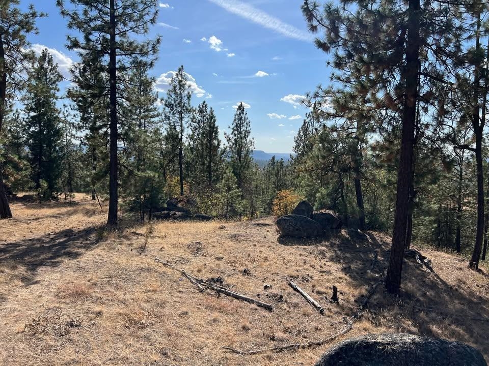 Homes for sale in Tumtum, WA | Tbd N Corkscrew Canyon Rd, Tumtum, WA 99013 | MLS# 202615752