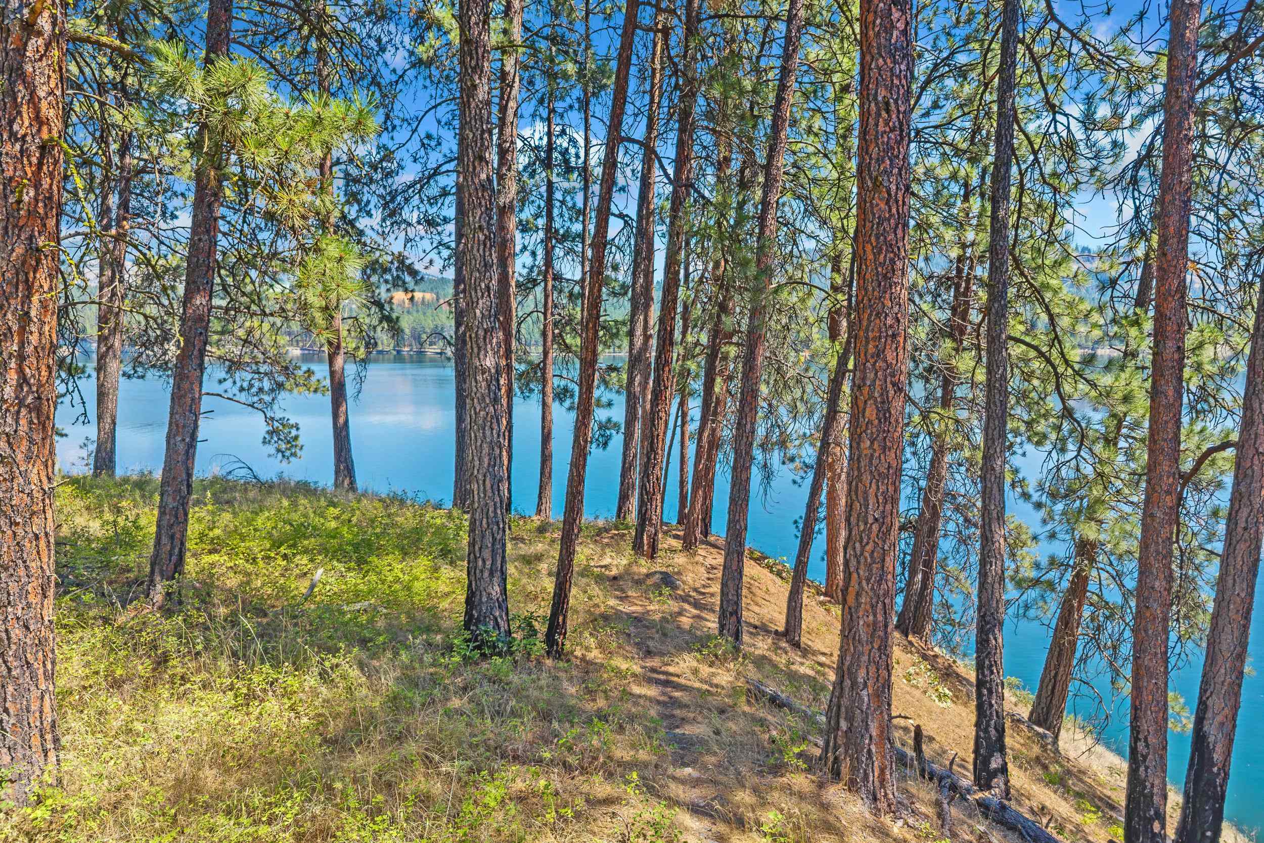 Homes for sale in Kettle Falls, WA | 61 Columbia Dr, Kettle Falls, WA 99141 | MLS# 202615754