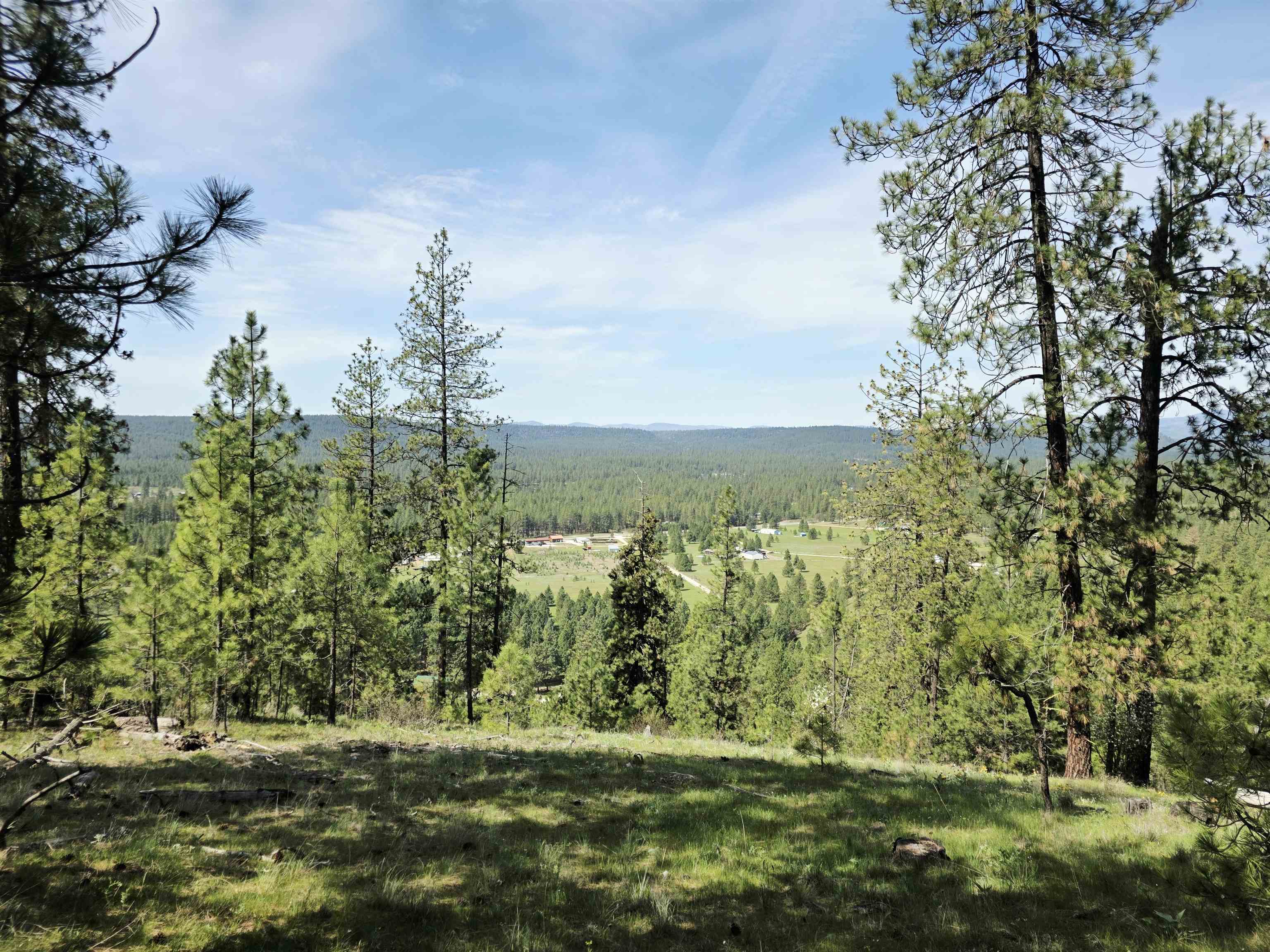 Homes for sale in Springdale, WA | 4417 D Hwy 231, Springdale, WA 99173 | MLS# 202615903
