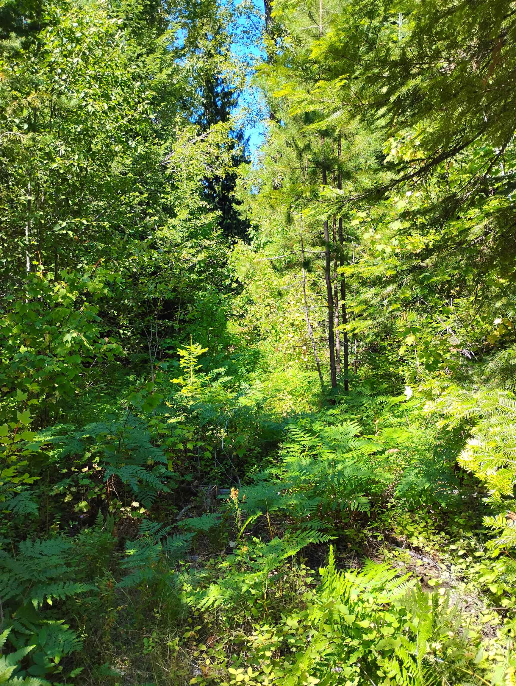 3rd image of Nka Calispel Trl, Newport, WA 99156 | MLS# 202616188