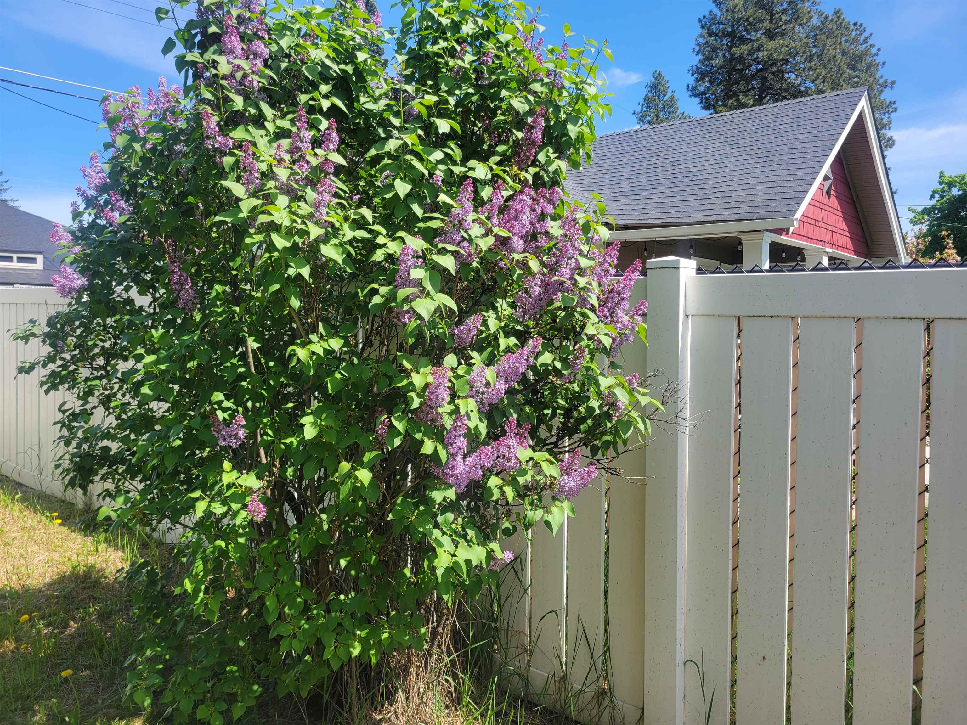 21st image of 811 E 38th Ave, Spokane, WA 99203 | MLS# 202617453