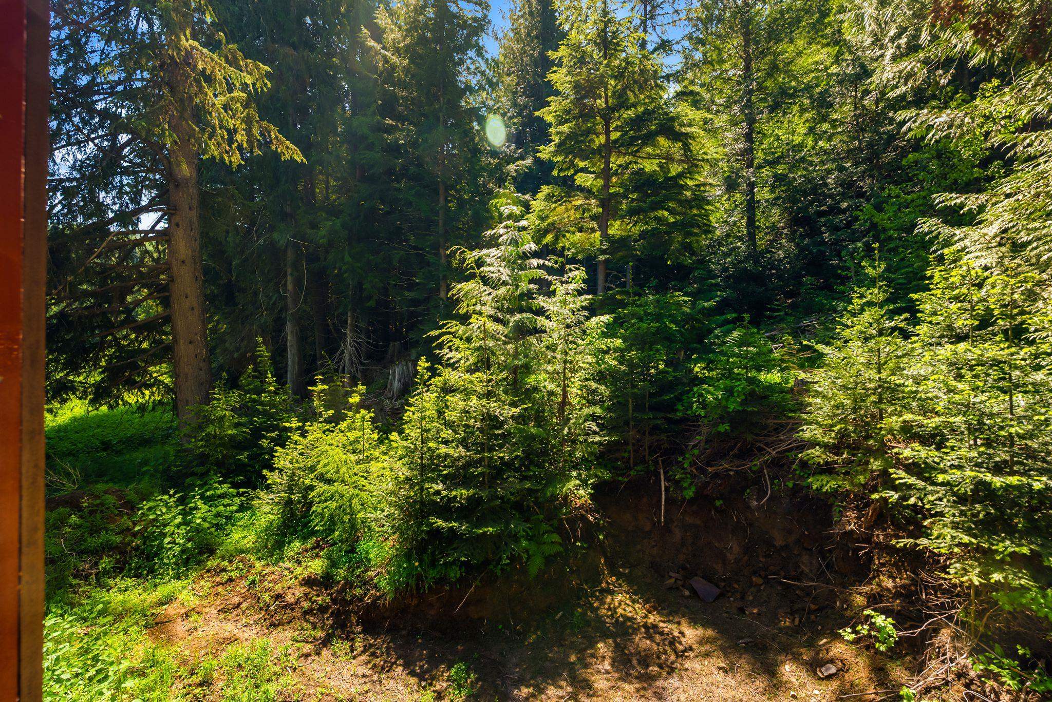 49th image of 2502 Greenhood Rd, Newport, WA 99156 | MLS# 202618358