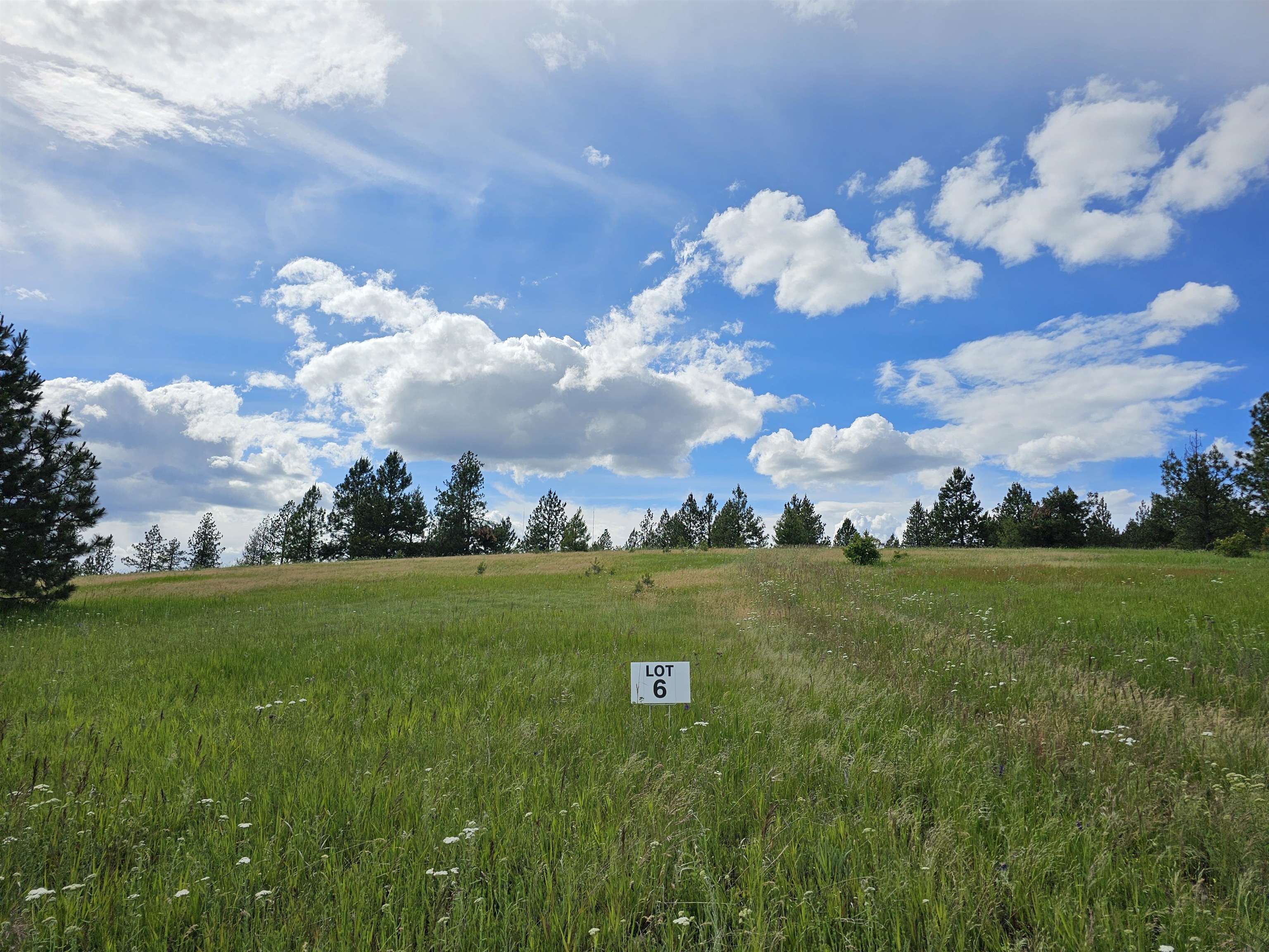 Homes for sale in Valleyford, WA | 9630 S Sands Rd, Valleyford, WA 99036 | MLS# 202618936