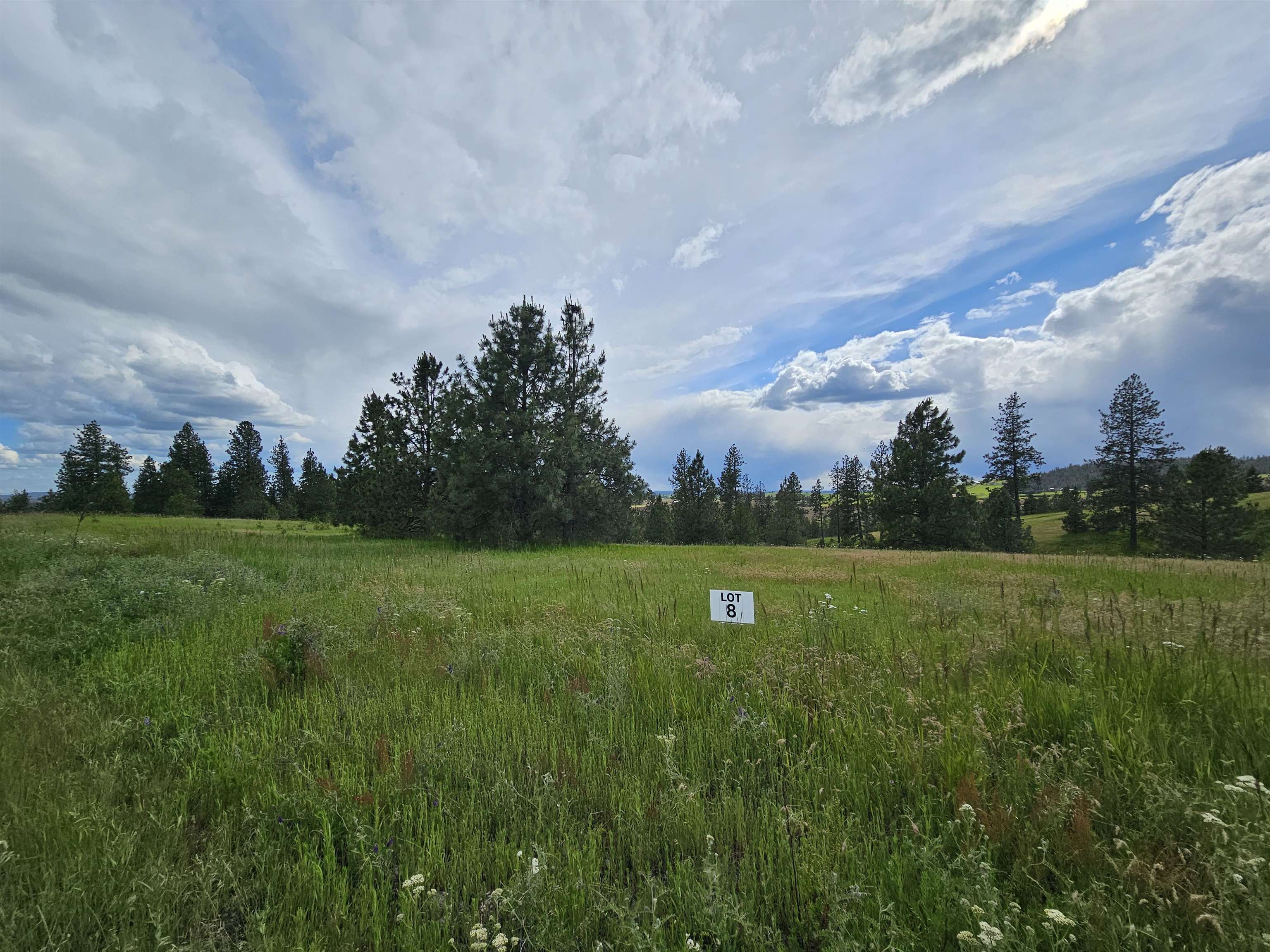 Homes for sale in Valleyford, WA | Nna S Sands Rd, Valleyford, WA 99036 | MLS# 202618941