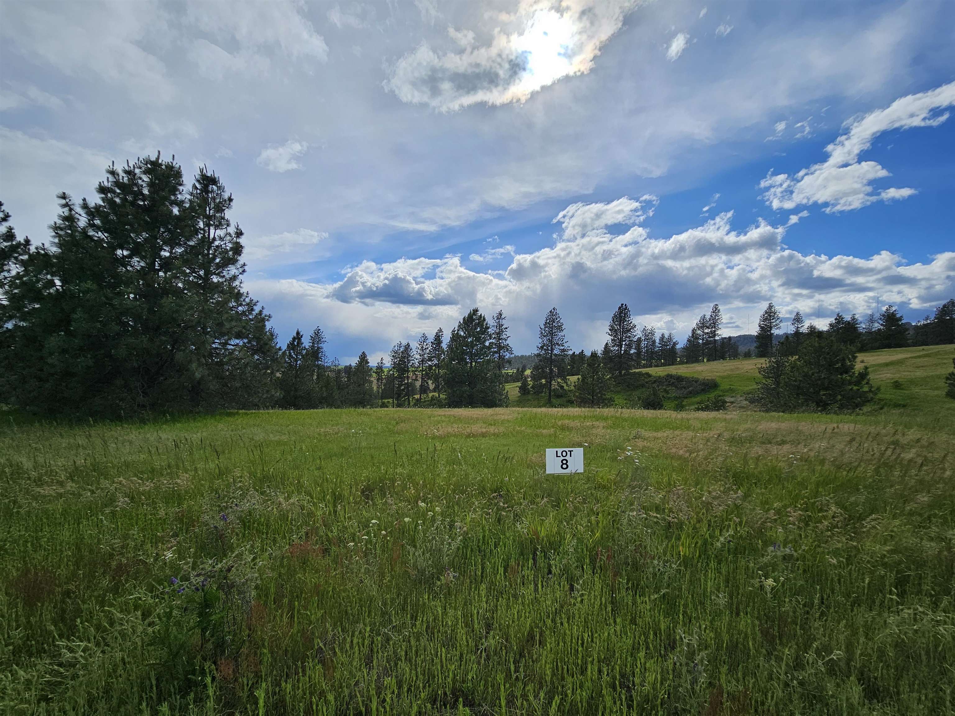 Homes for sale in Valleyford, WA | Nna S Sands Rd, Valleyford, WA 99036 | MLS# 202618941