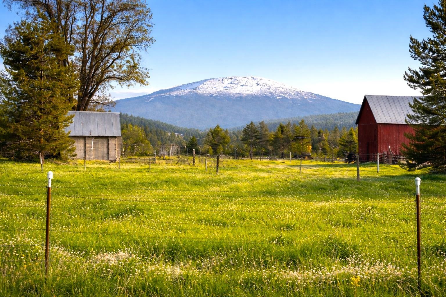 2nd image of 46xx Bittrich Antler Rd, Deer Park, WA 99006 | MLS# 202619594