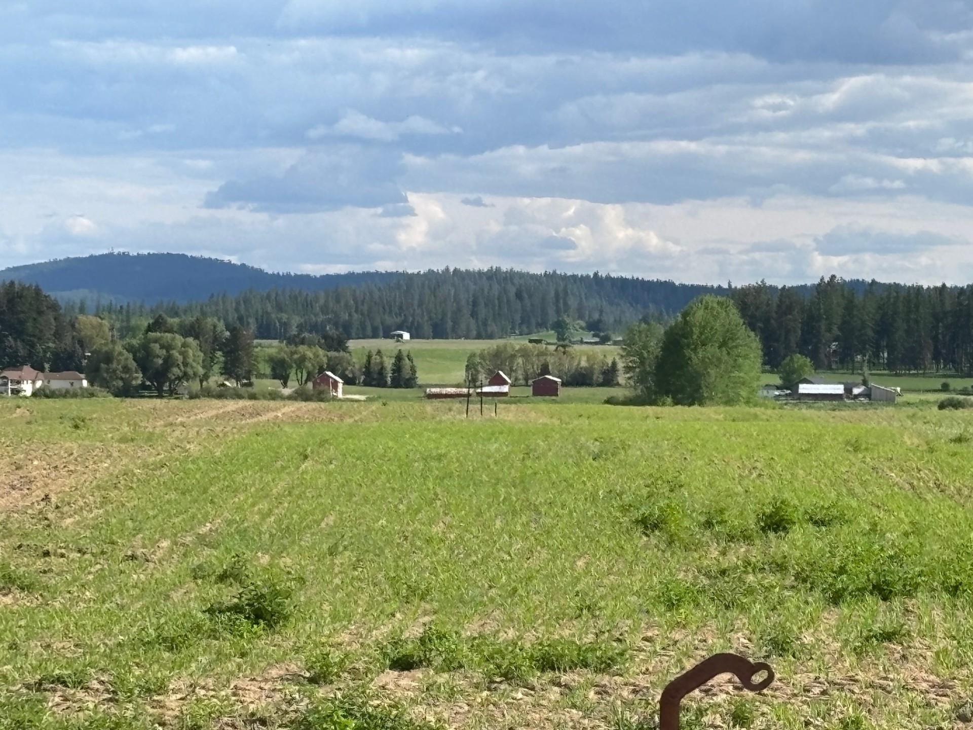 5th image of 46Xx Bittrich-Antler Rd, Deer Park, WA 99006 | MLS# 202619594