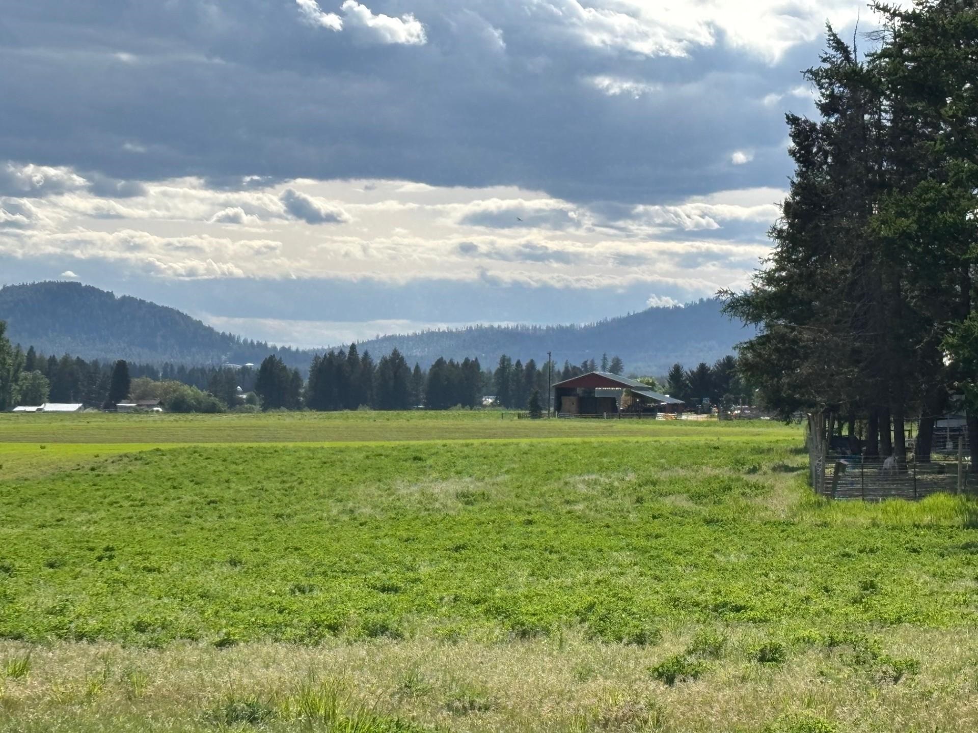 4th image of 46Xx Bittrich-Antler Rd, Deer Park, WA 99006 | MLS# 202619594