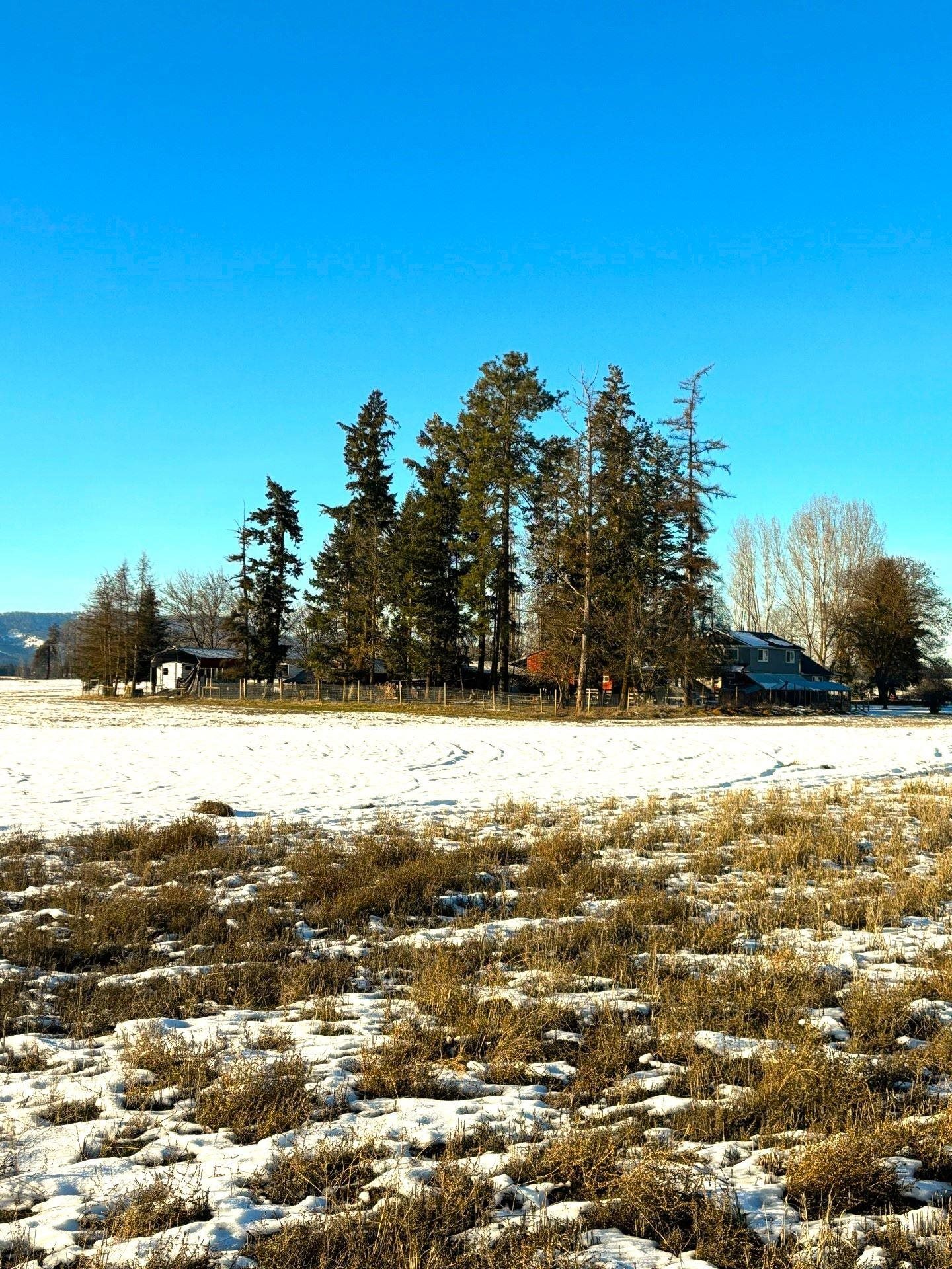 37th image of 46xx Bittrich Antler Rd, Deer Park, WA 99006 | MLS# 202619594